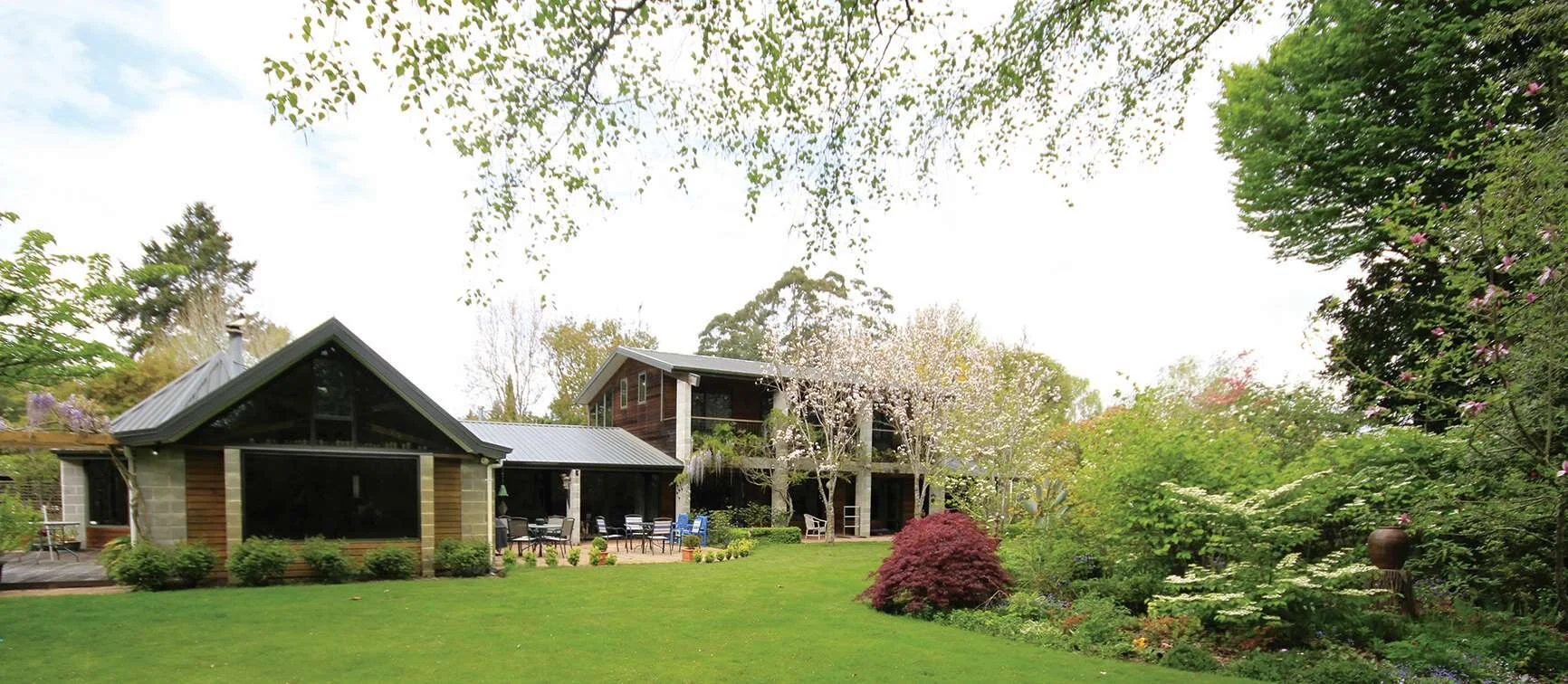 Resized Stella 8.jpg