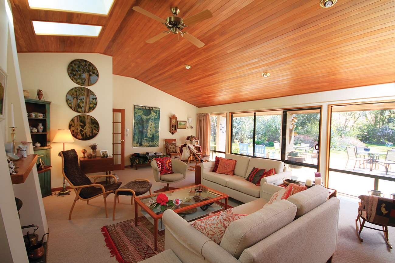 Resized Stella 6.jpg