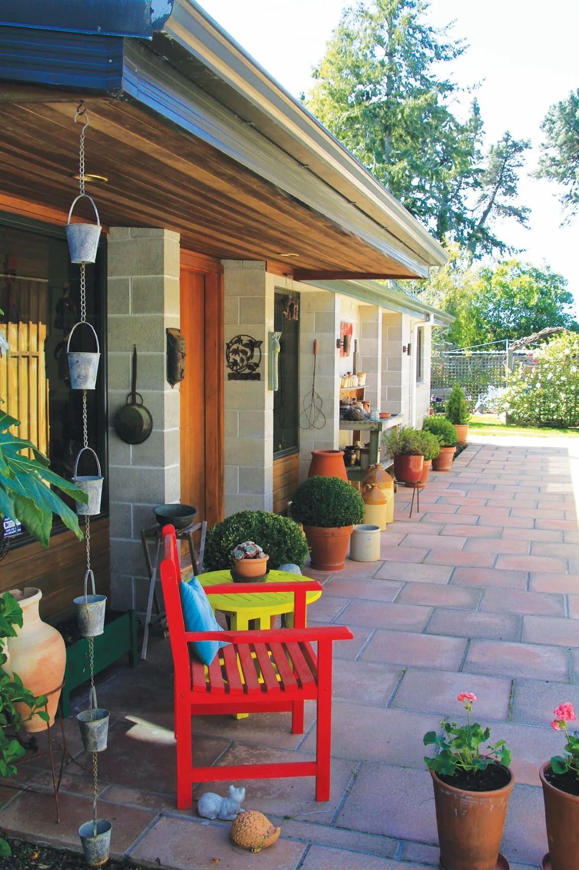 Resized Stella 1.jpg