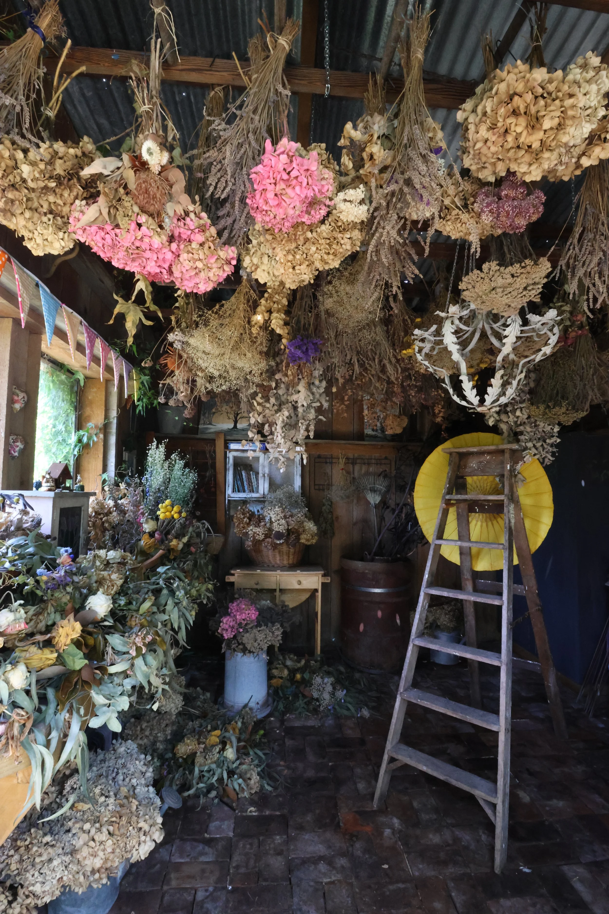 Broadoak - A Garden To Inspire