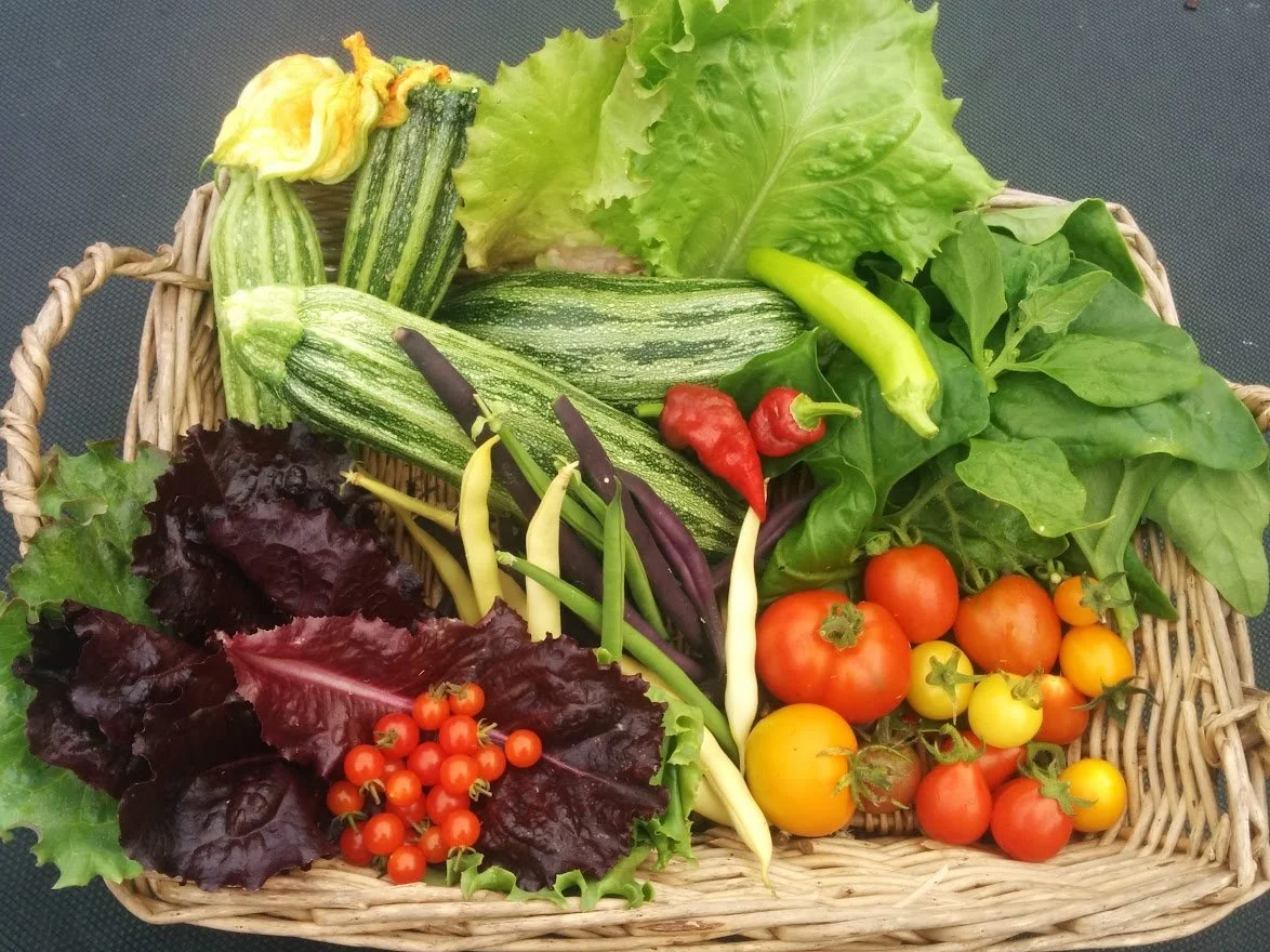 What To Plant In Late Summer and Autumn