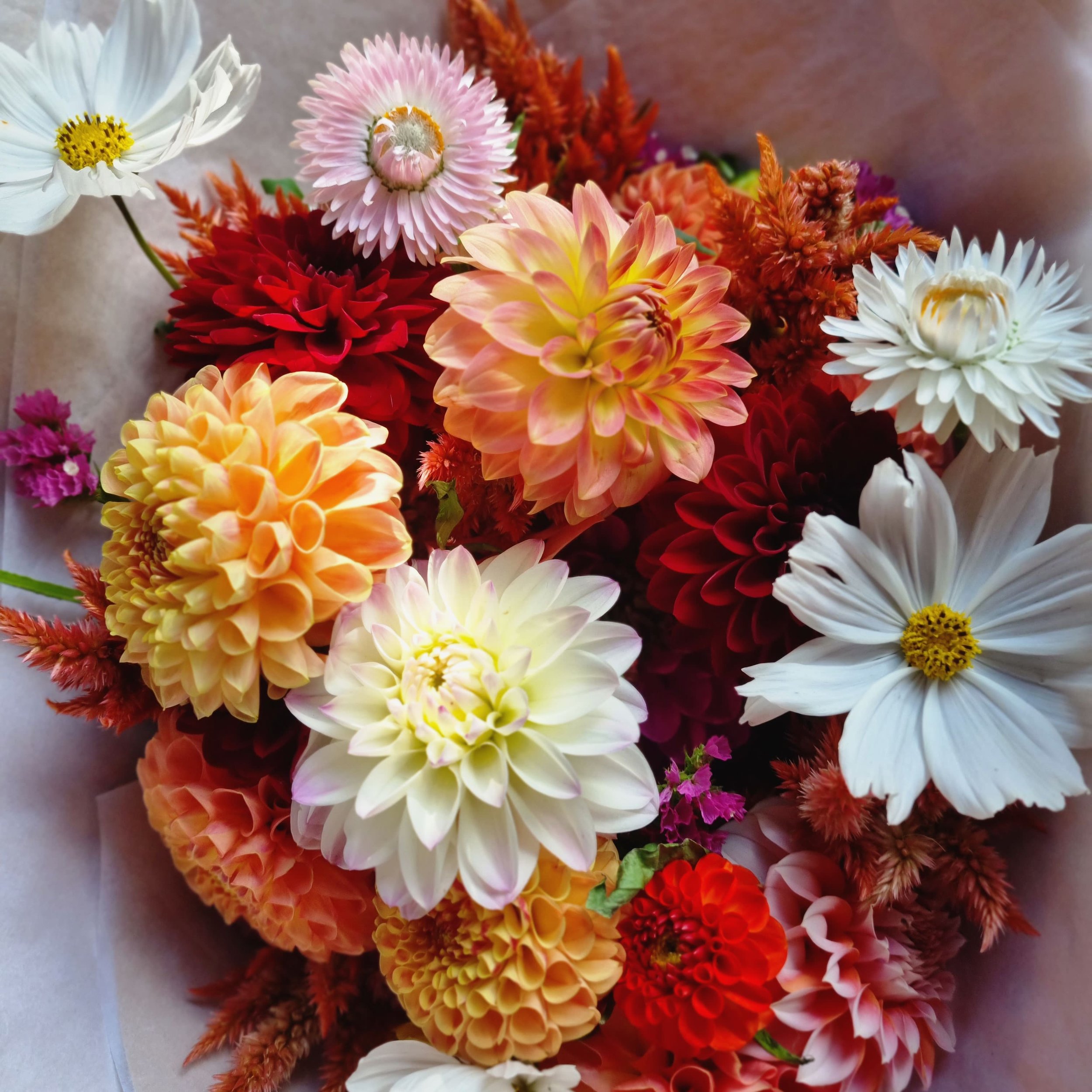 Colourful bouquet. Credit Birch Hill Flower Farm..jpg