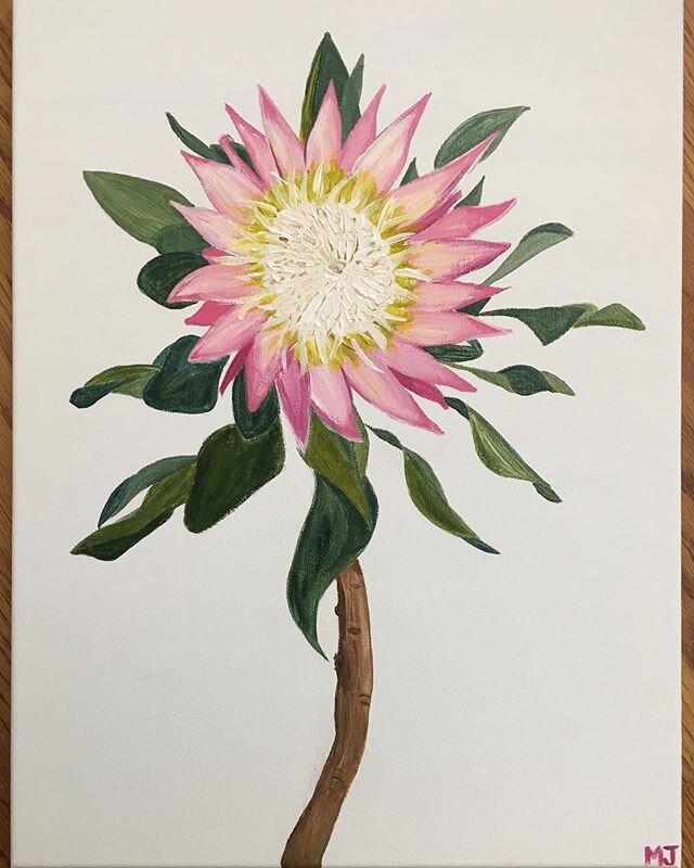Netflix &amp; Protea Painting
&bull;
Swipe to see the original post from @matildasbloombox that was the inspiration! &bull;
#protea #proteaflower #proteapainting #tropicalflower #tropicalflowerpainting #flowerpainting #acrylicpainting