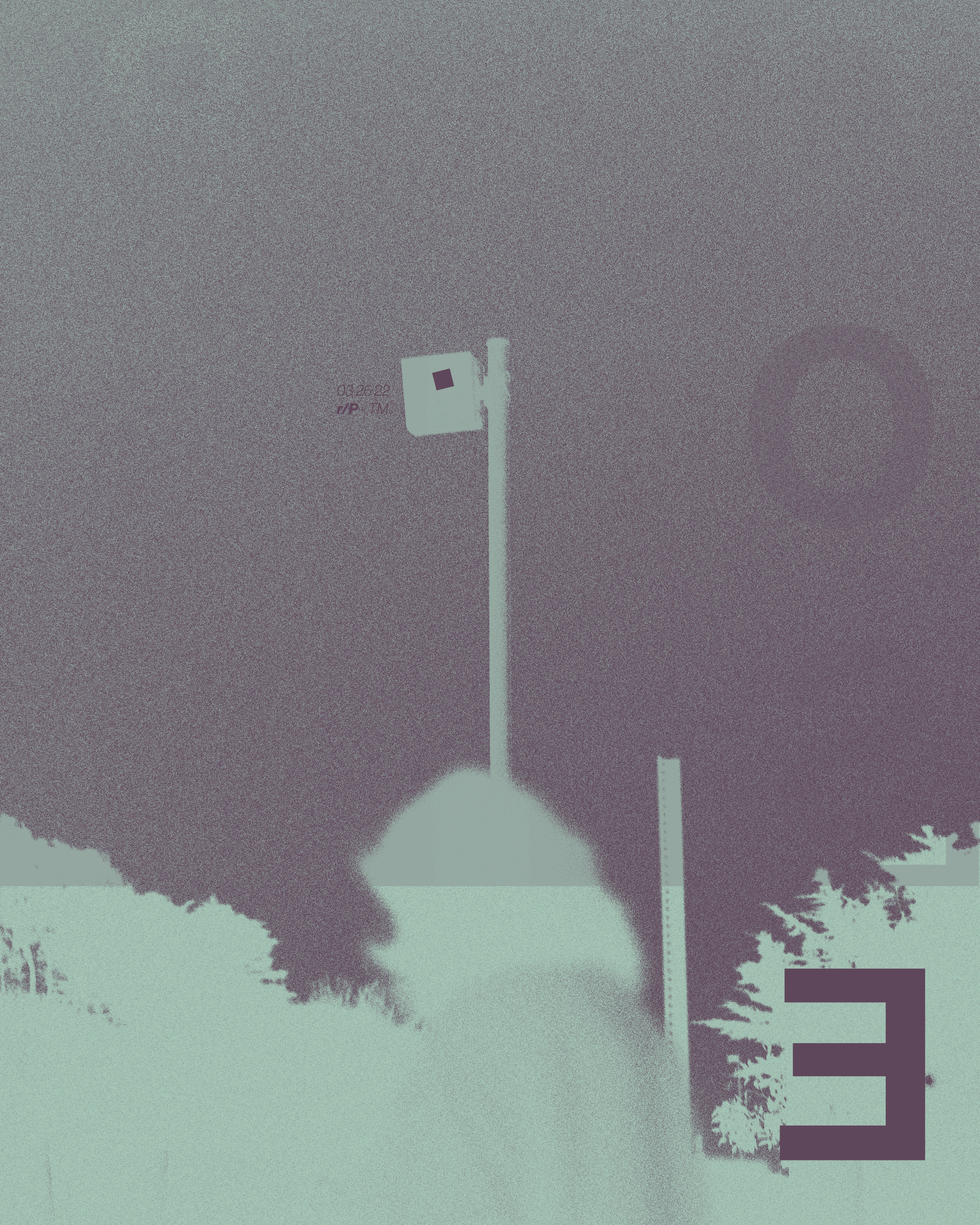 R_P TM purple.png