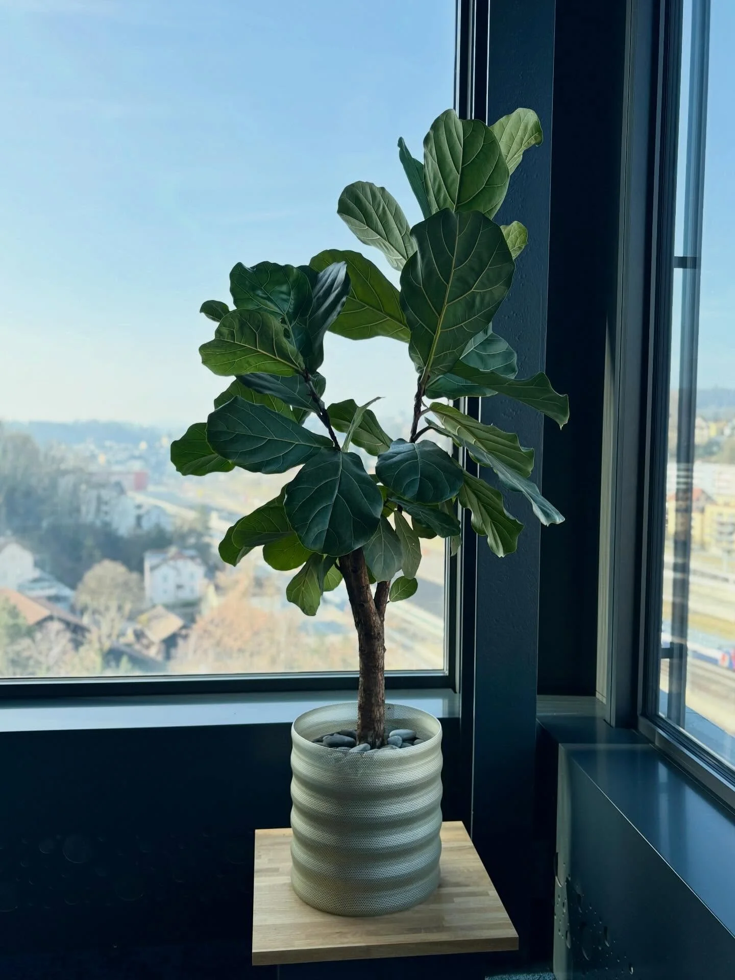 Unser Designatelier ist so vielseitig wie eure Ideen.

Ob Hochbeet, dreidimensionaler Blumentopf oder individuelle Pflanzenabdeckung &ndash; das Designatelier der @werkstatt_liechtblick macht&rsquo;s m&ouml;glich. Wir gestalten und fertigen nach eure