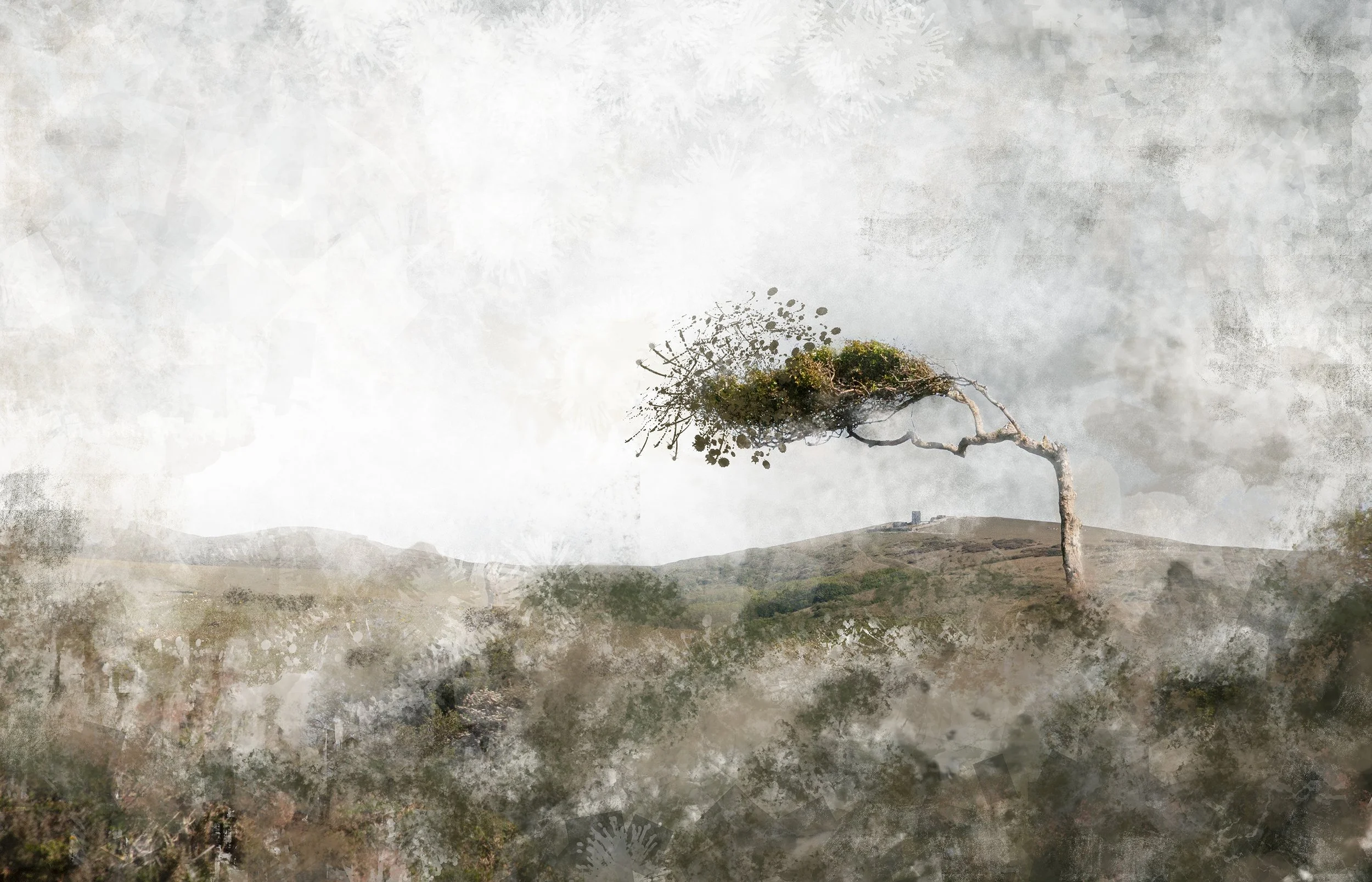 Leaning into the Wind.jpeg