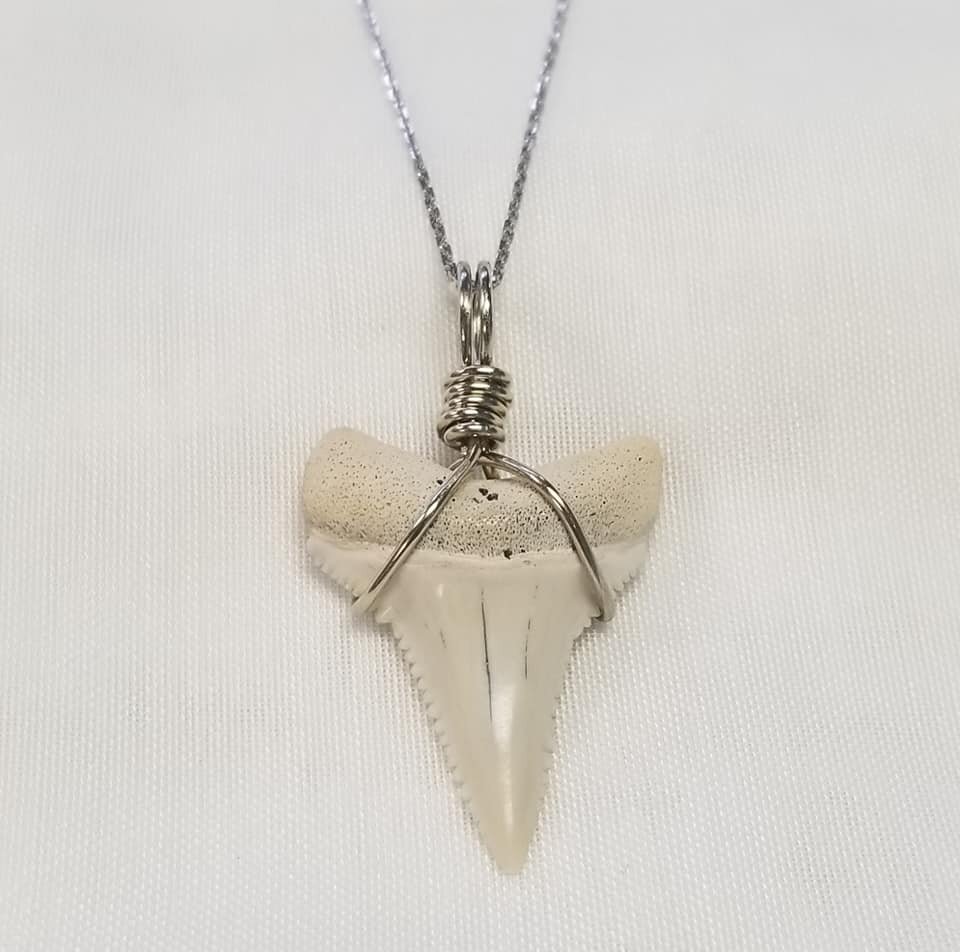 Shark's Tooth Pendant