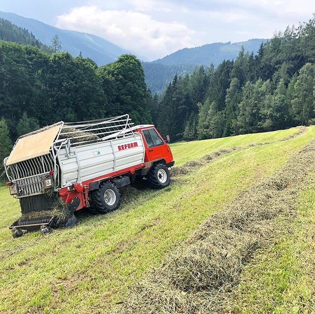 Heuernte Teil 3. Wir sind dann mal in den Feldern bevor der Regen kommt! Bitte denkt an uns, damit wir es noch rechtzeitig schaffen! 🤞😊😎#heuernte #urlaubambauernhof #biourlaub #reform