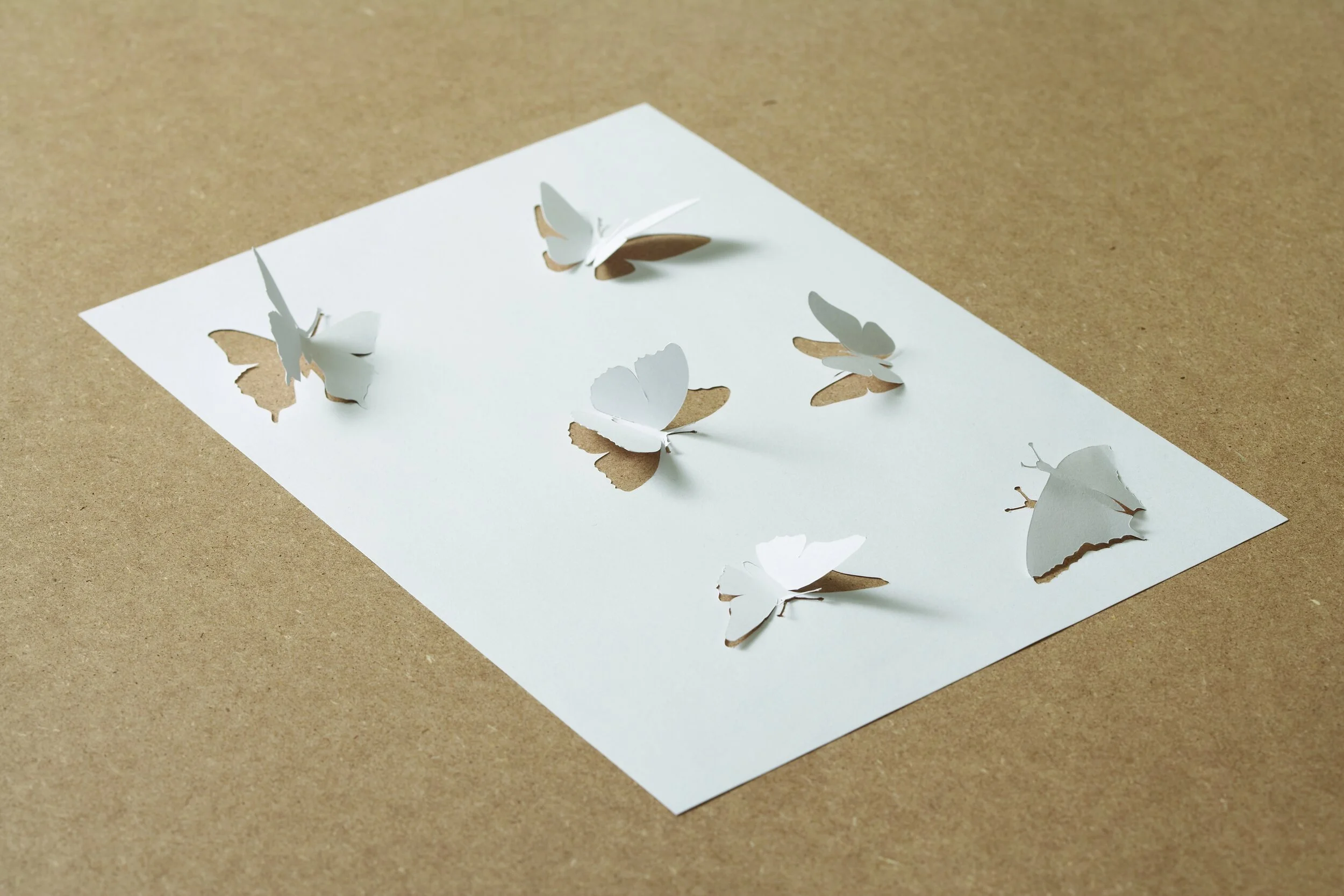 Поделки из белой бумаги. Питер каллесен датский художник. Поделки из белого листа. Что можно сделать из простой белой бумаги. Что можно сделать из бумаги.