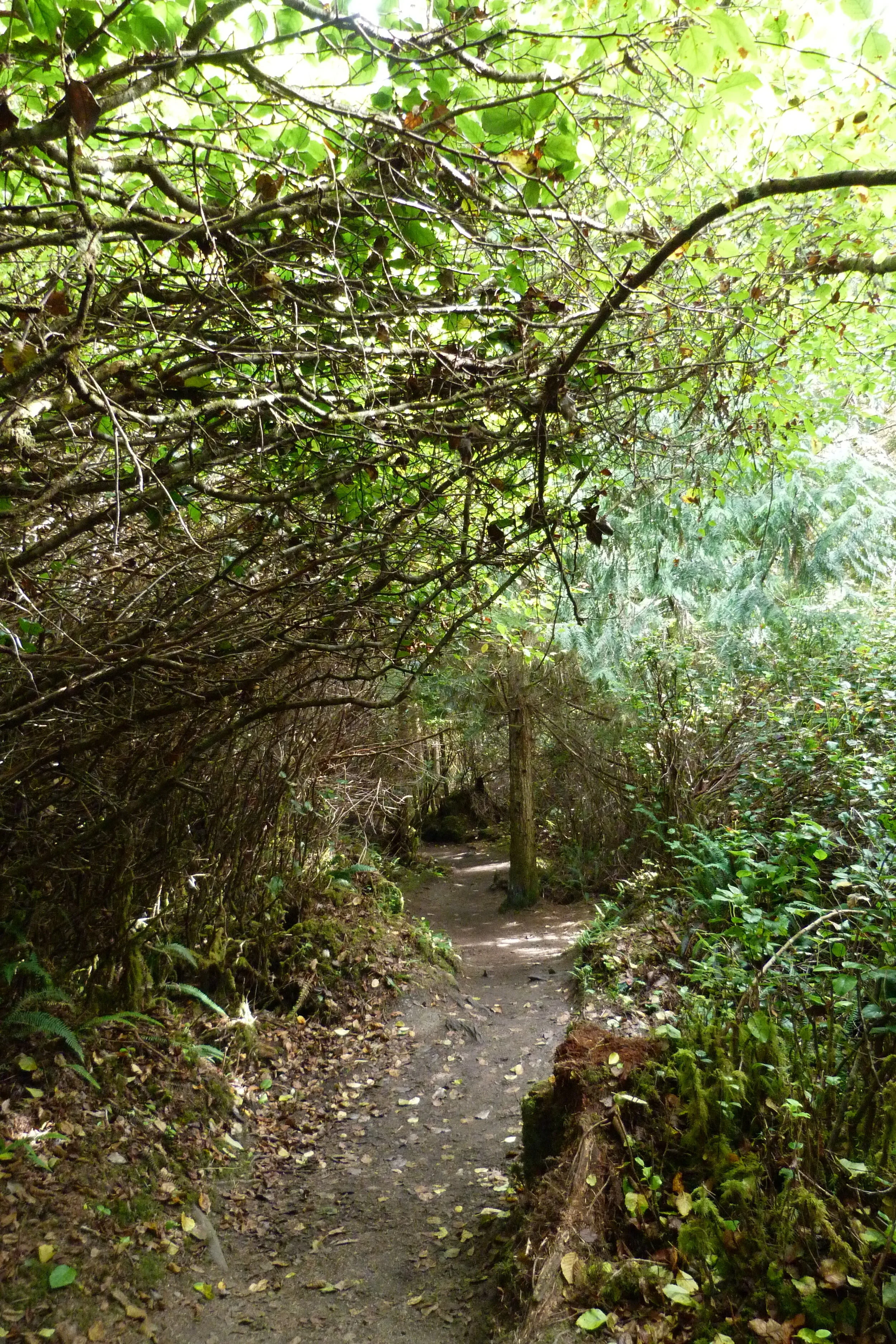 Interlude printanier    