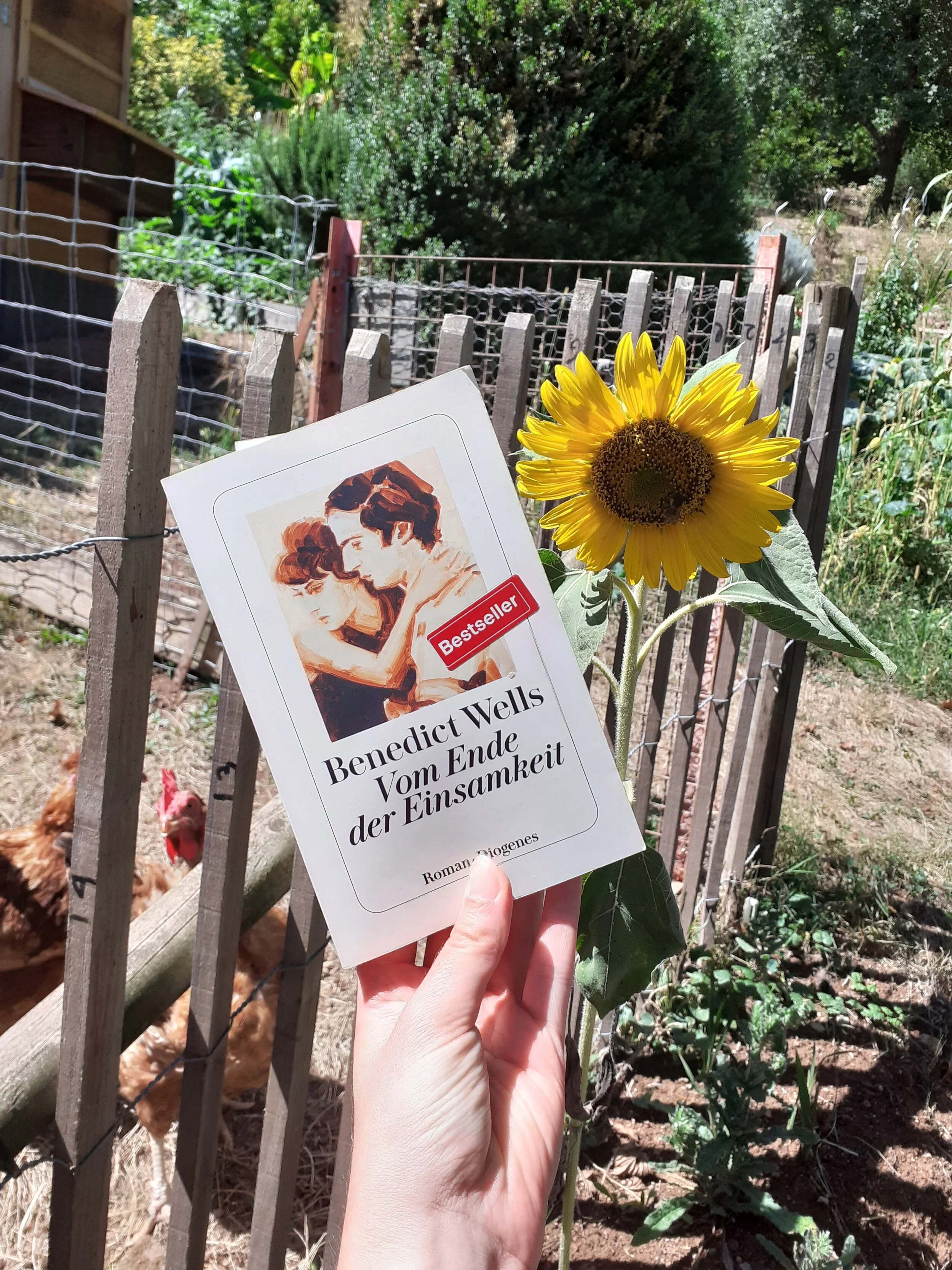 Vom Ende der Einsamkeit (La Fin de la solitude), Bendecit Wells (FR &amp; DE)