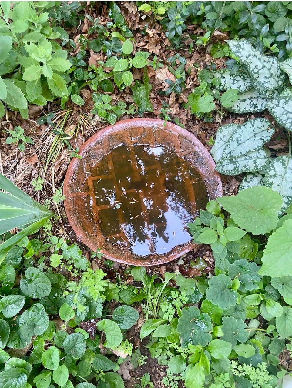 'Rainbowl' -  permanent installation under observation at Watts Gallery gardens