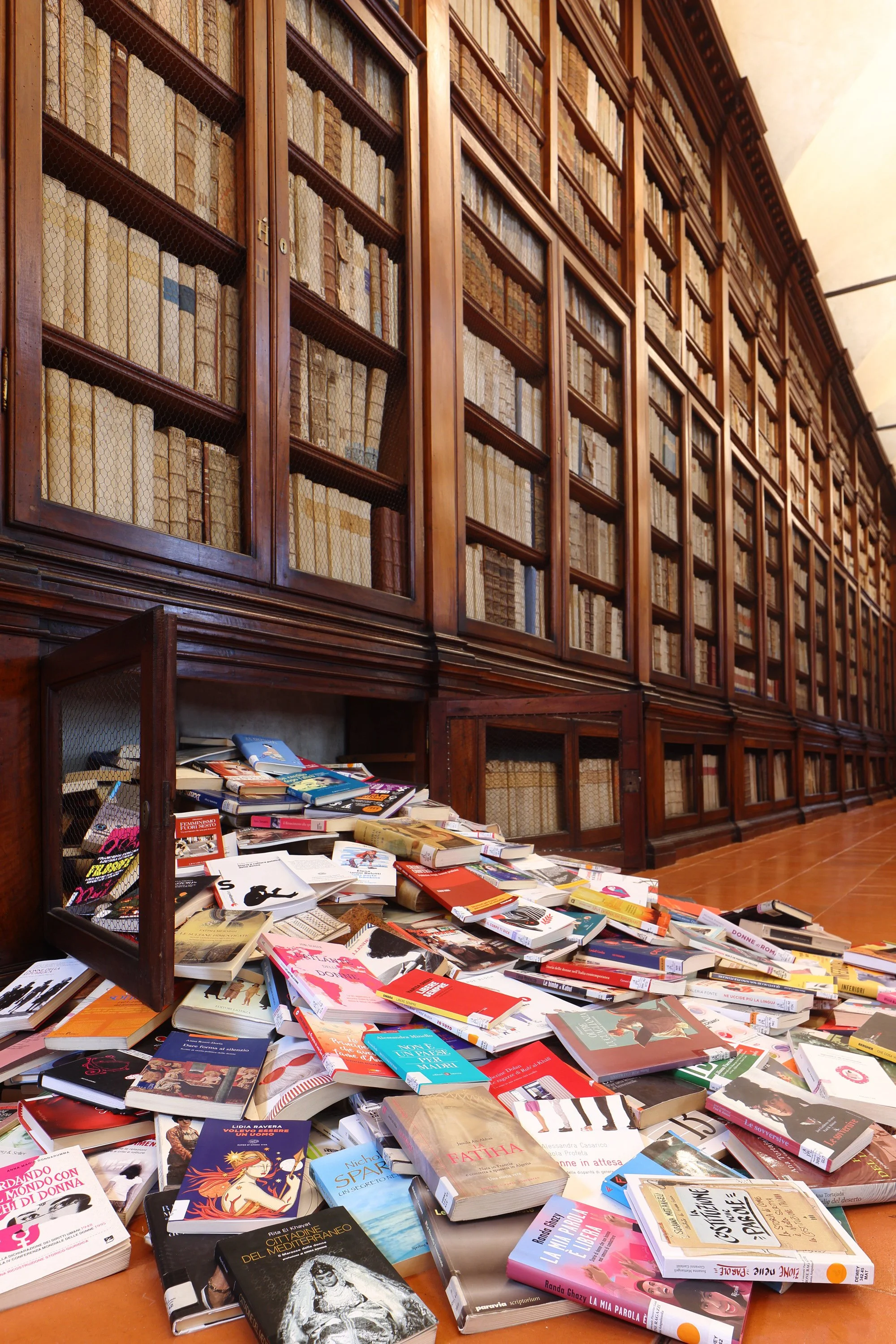 Installazione Bibliot.__64.JPG