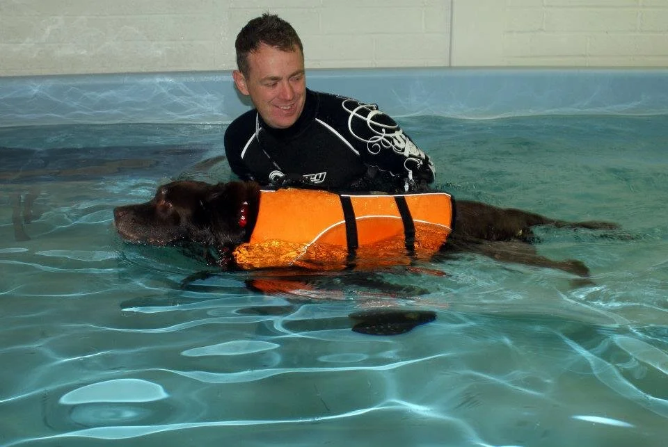 About Us — Pool4Paws Canine Hydrotherapy Centre