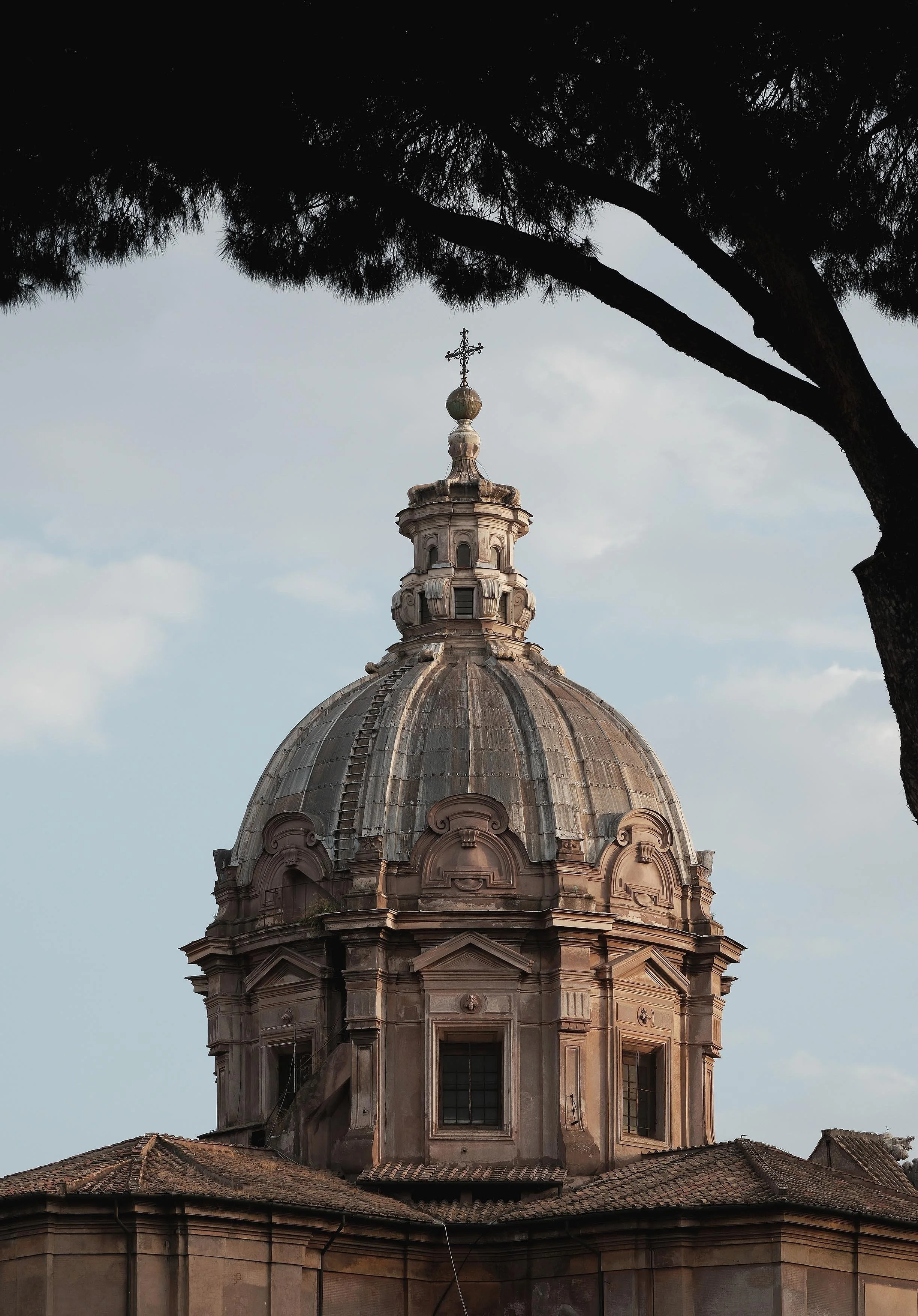 Historical church with a large dome viewed from below, surrounded by tree branches at the top