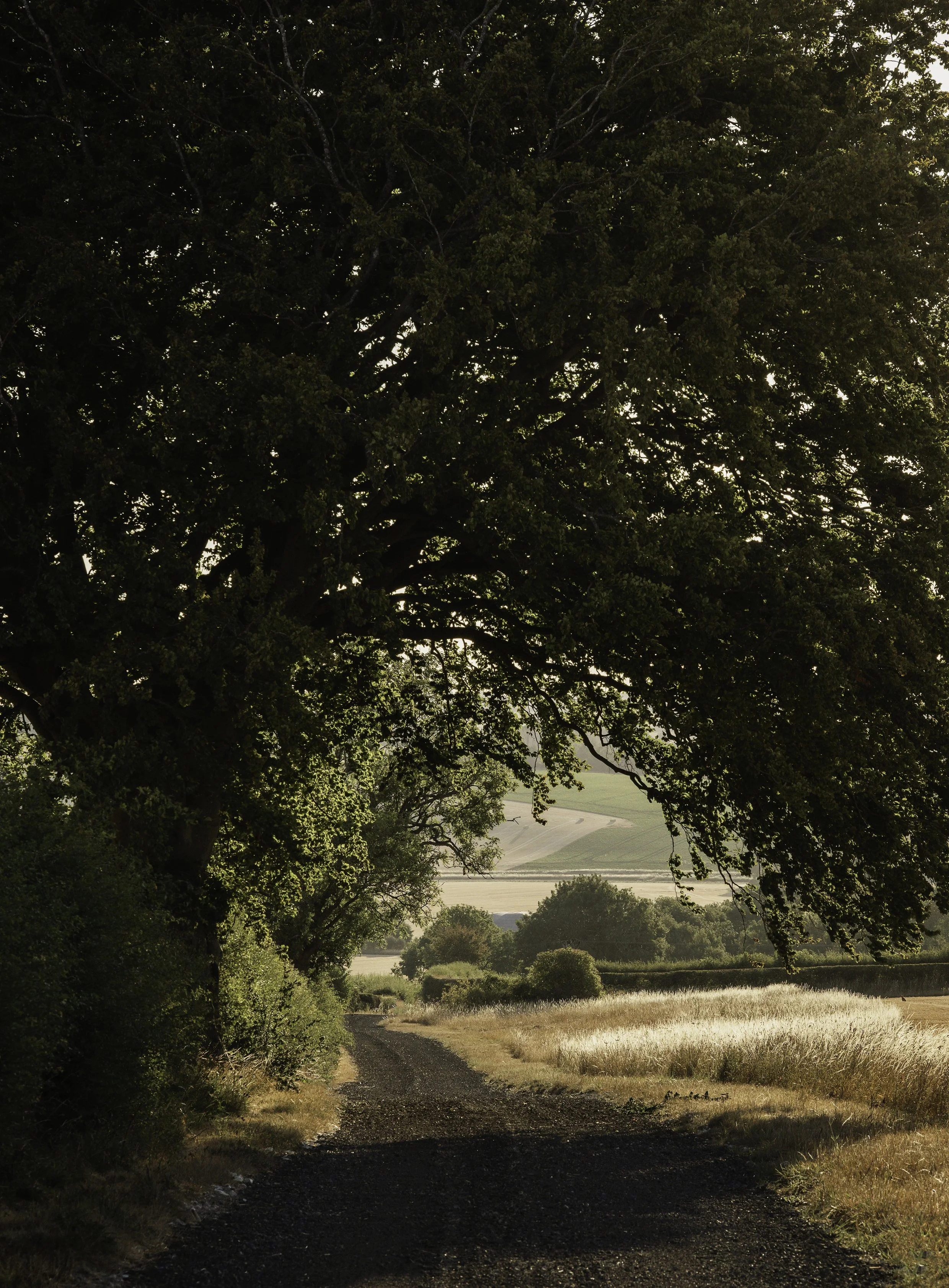 Stainton Estate Sutton Group by Pete Helme Photography ph30 copy.jpg