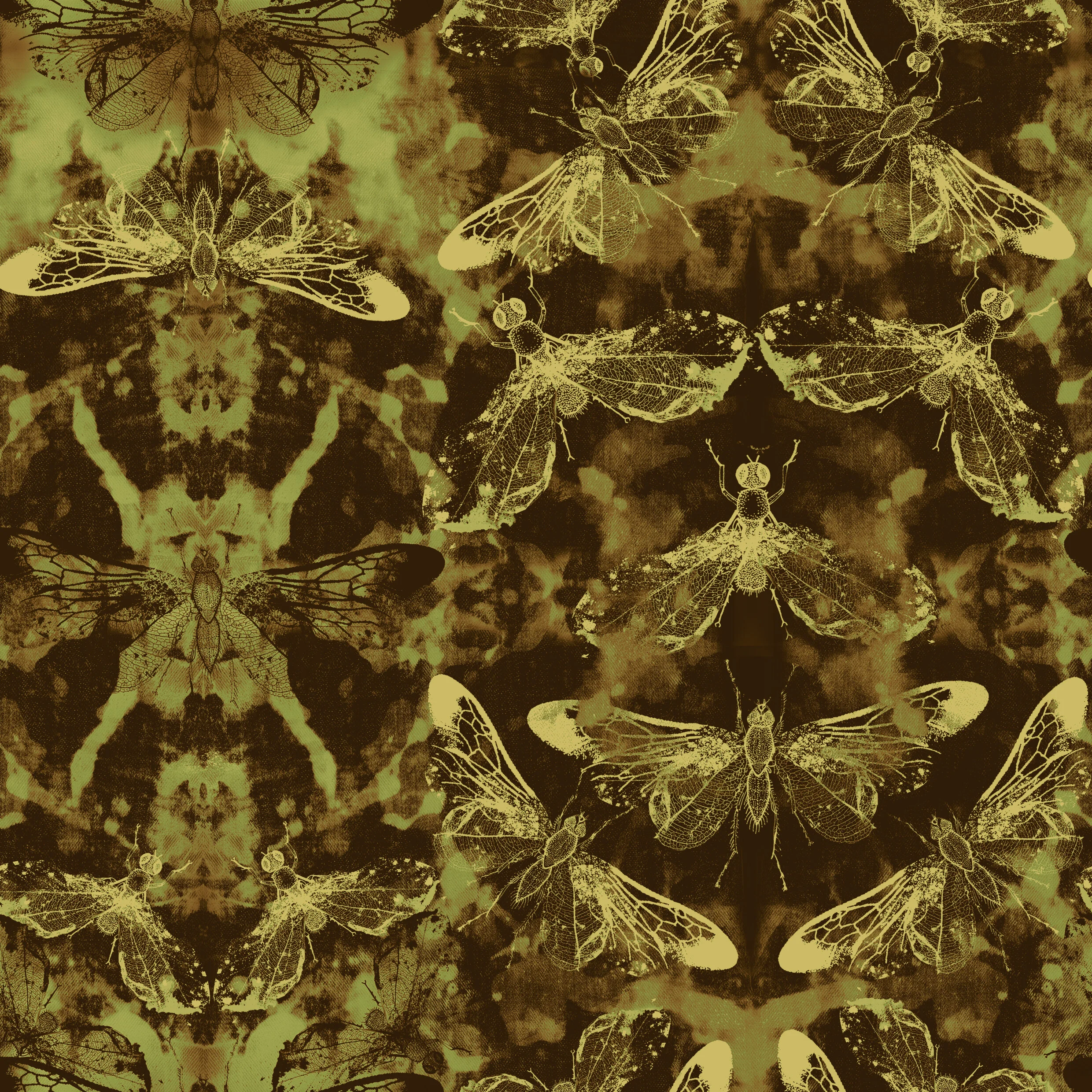 BLEACHED FLY-MUD.jpg