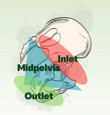 stages-of-labor