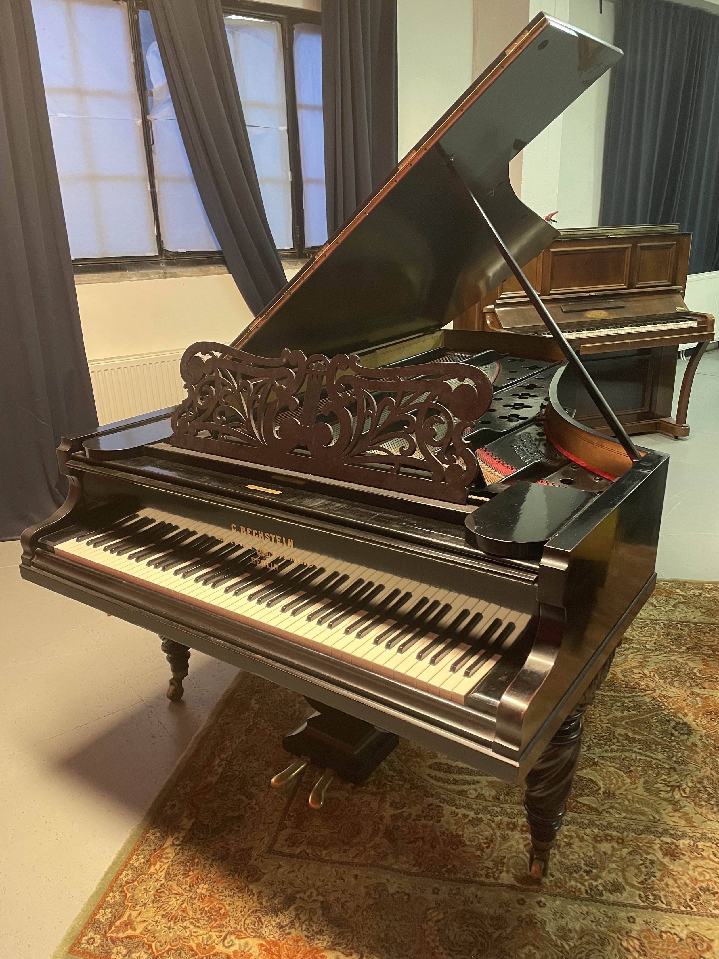 Carl Bechstein 6583, bouwjaar 1873