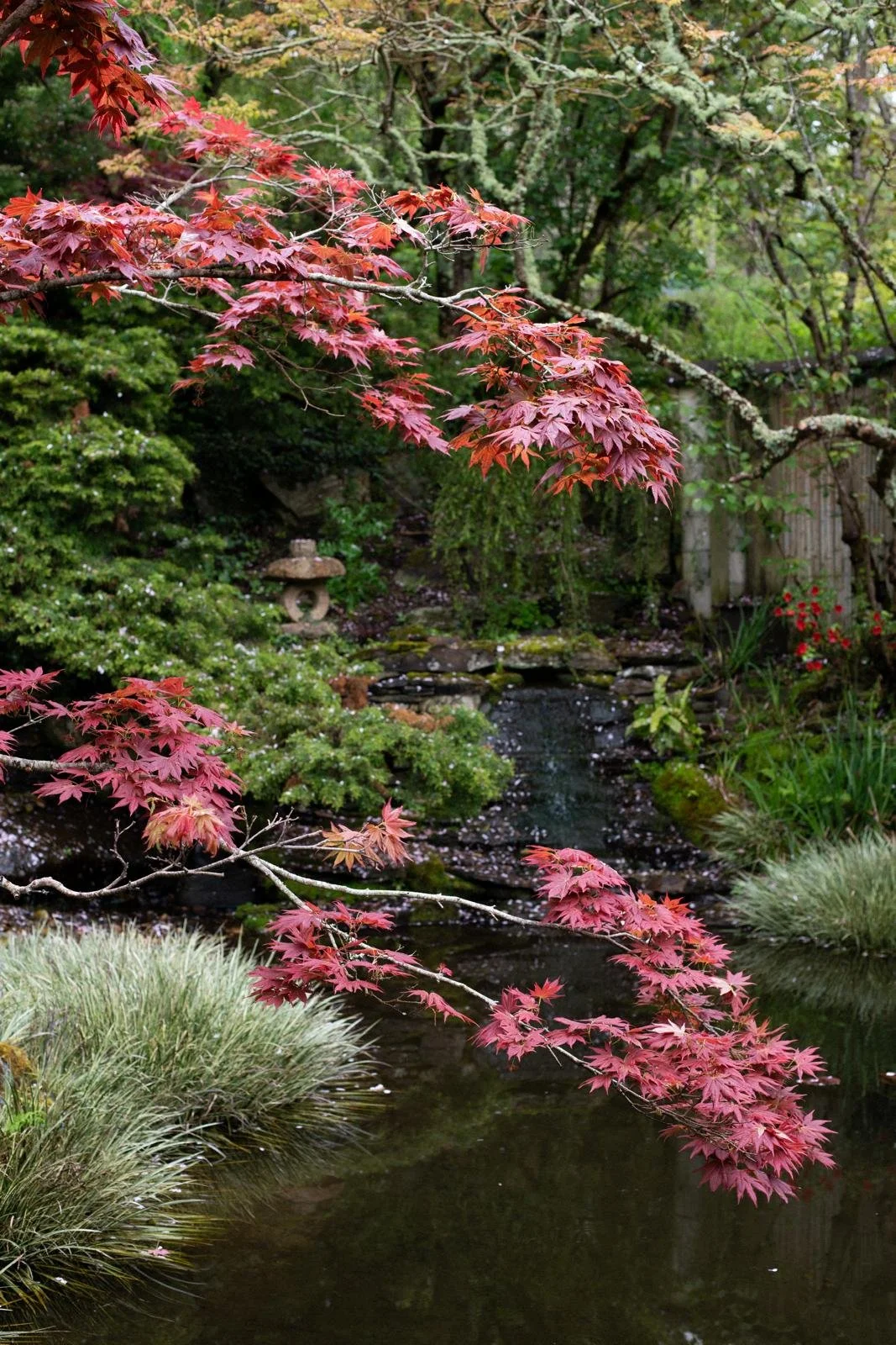 6 x 90 minute MBSR Mentoring 1:1 Live Container