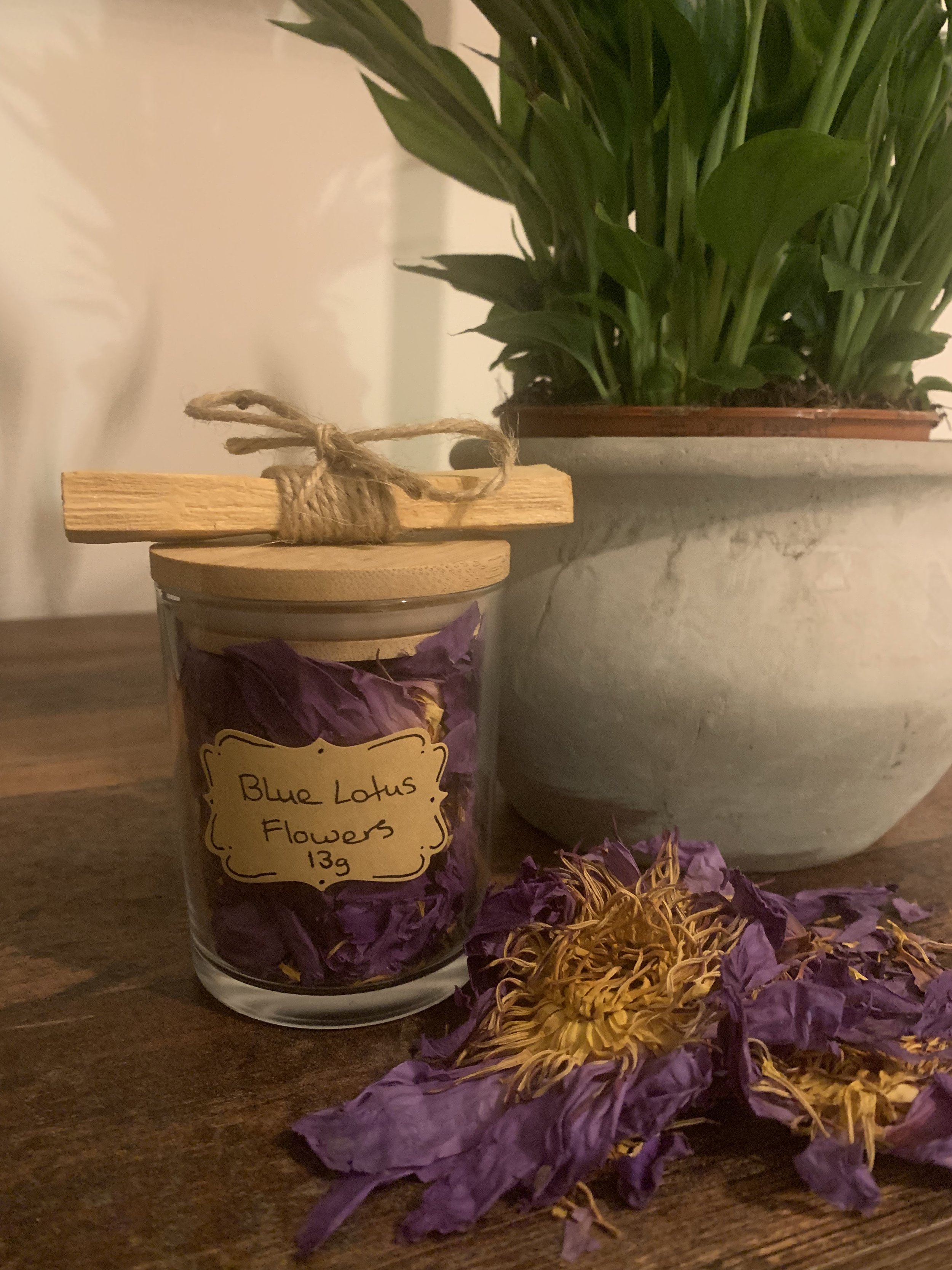 Blue Lotus Tea & Palo Santo.jpg