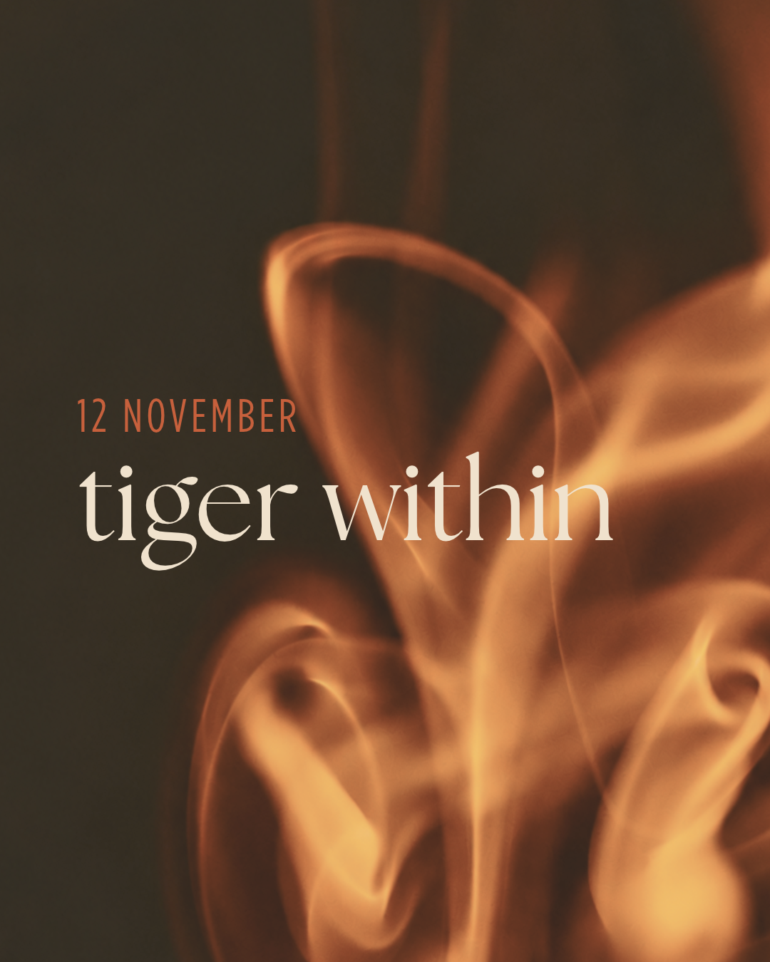 TIGER WITHIN | online 12th nov