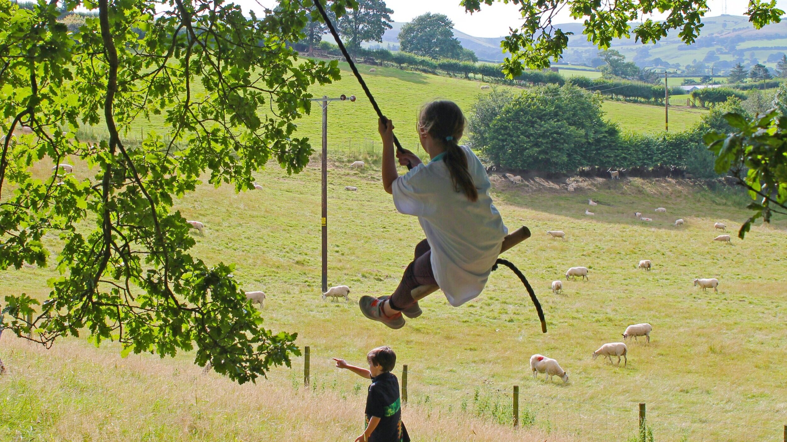 The rope swing