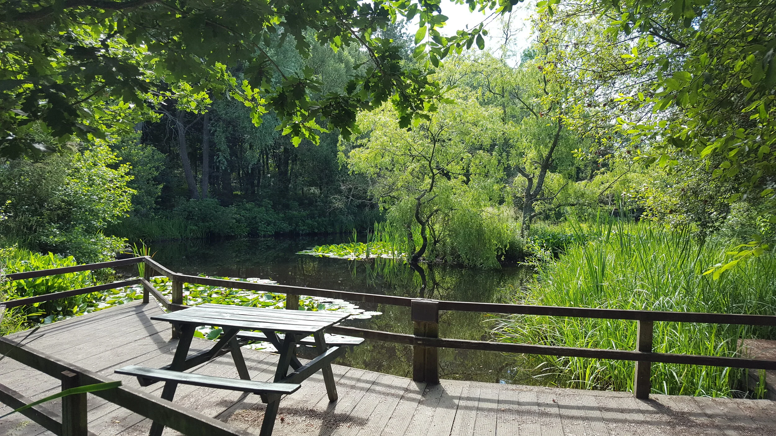 Honeypot lake