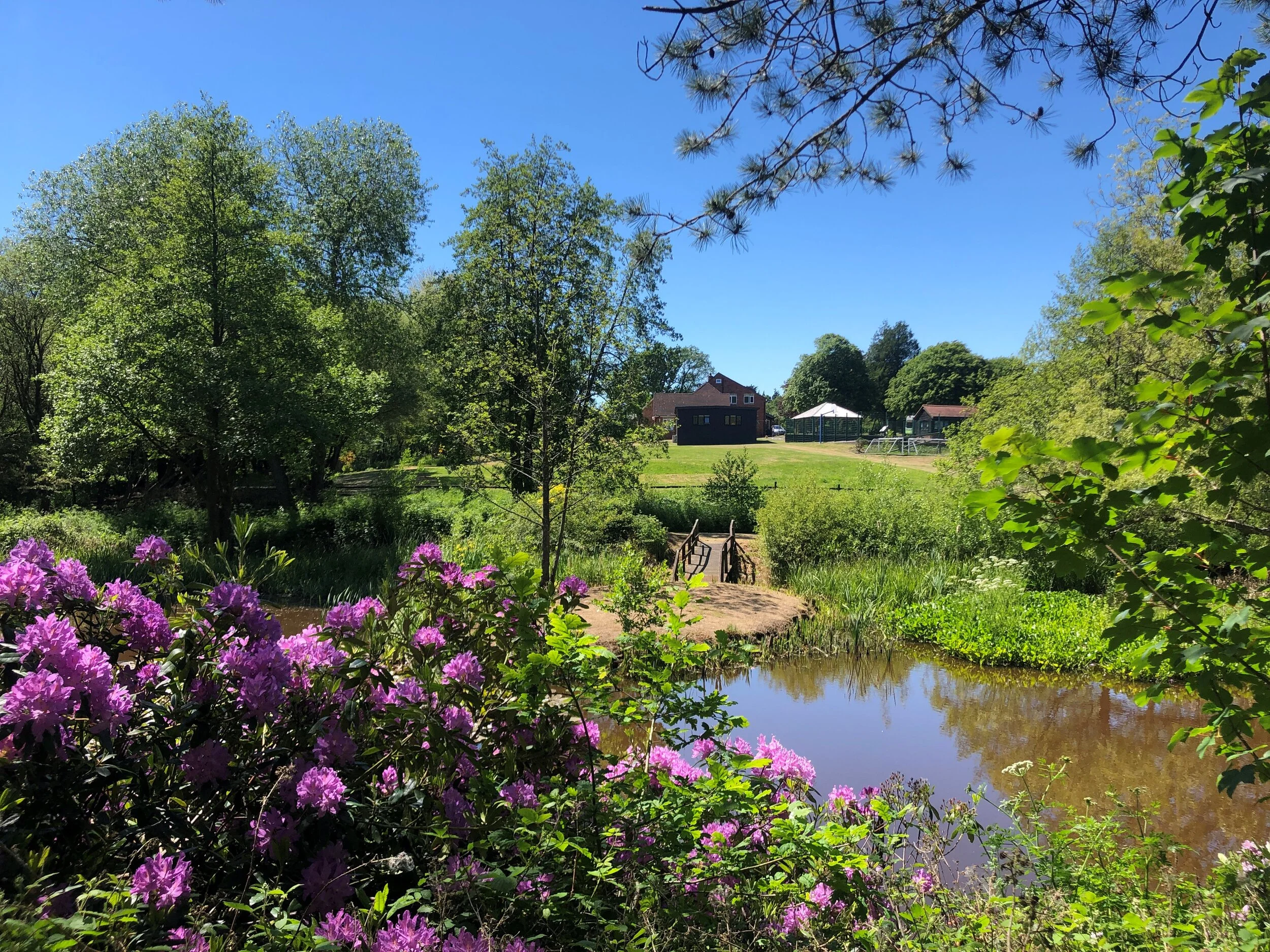 Resuming residential Respite Breaks in Hampshire and Wales