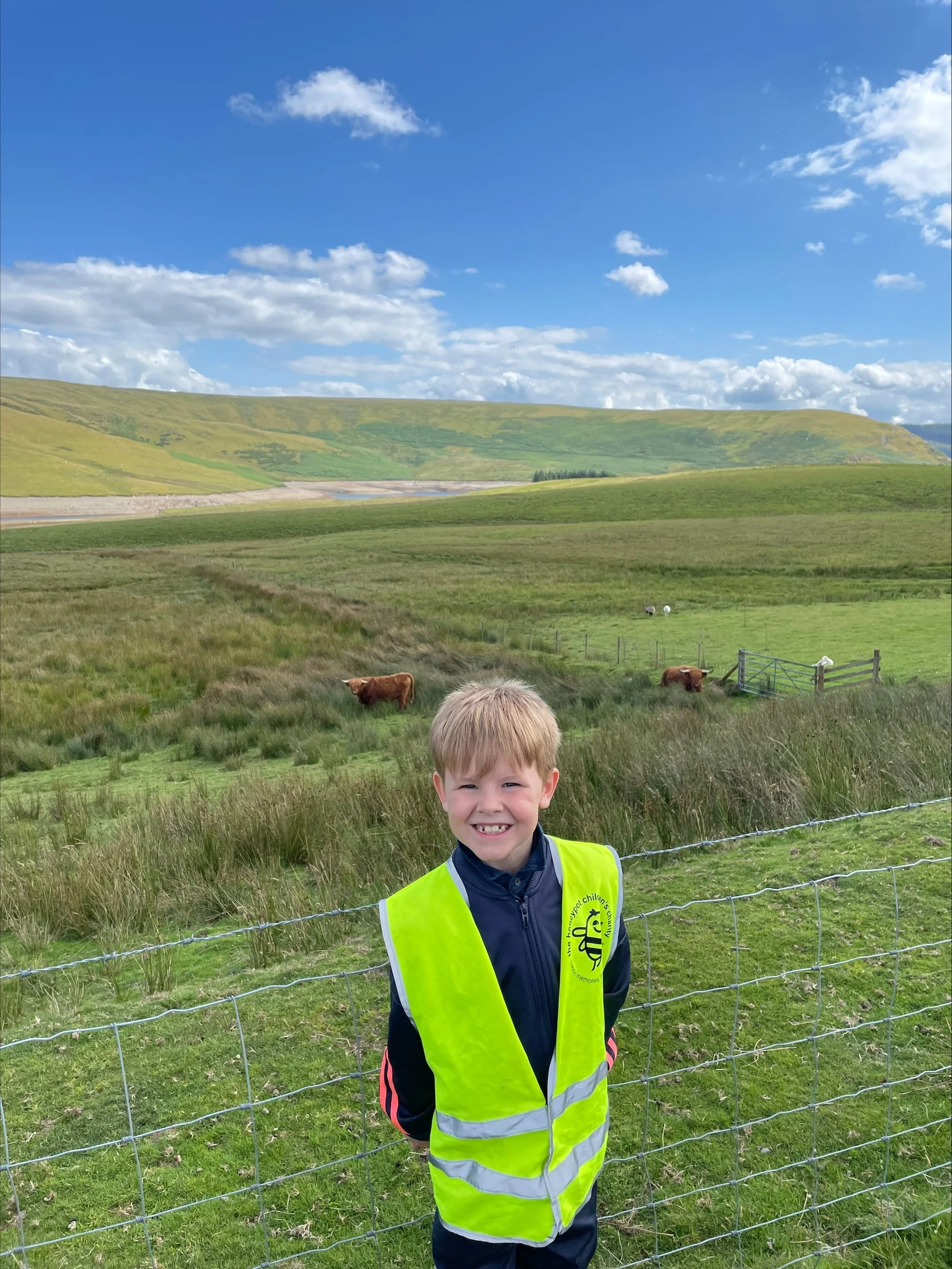 Mountain view with Highland Cows AP.jpeg