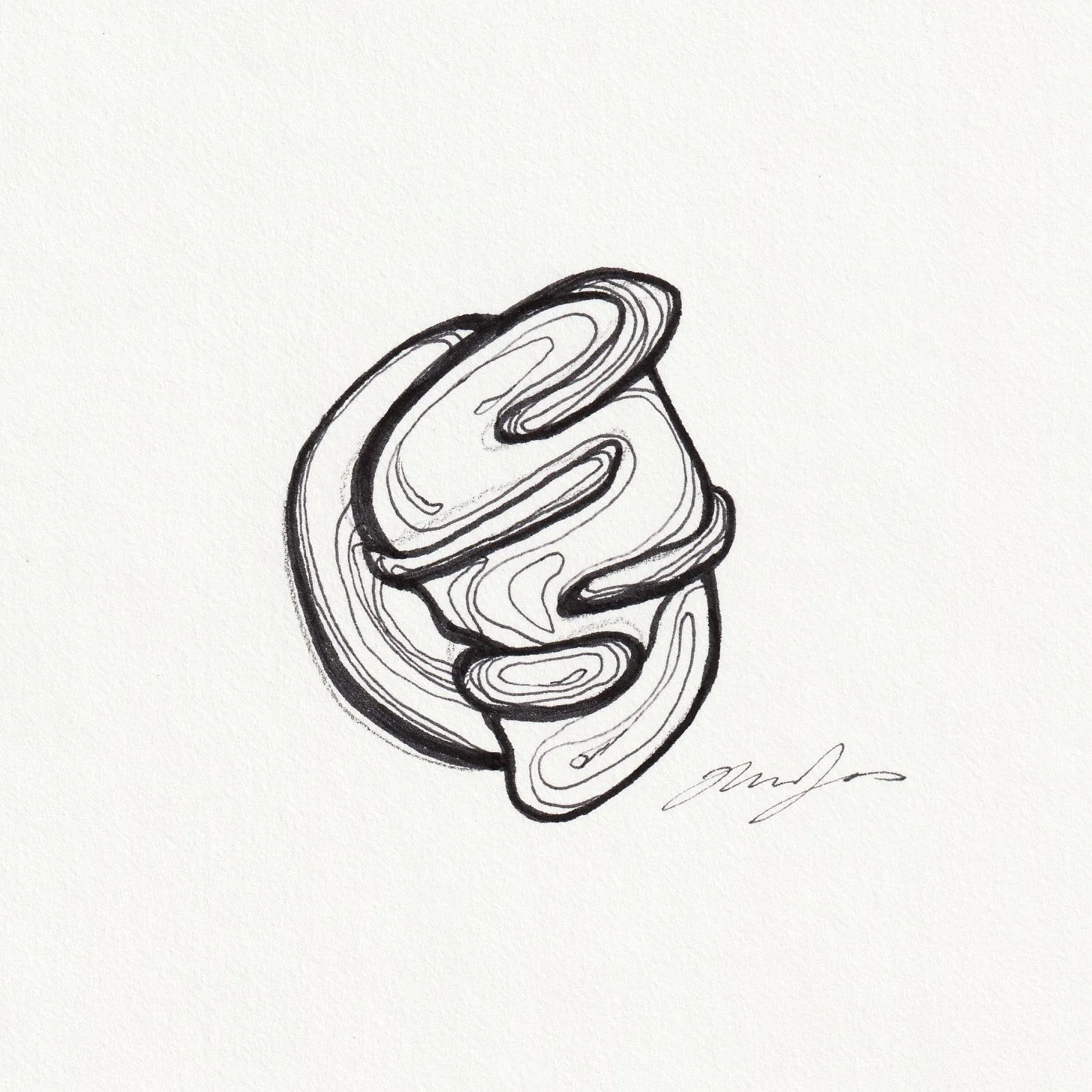 IMG_20250203_0019 2.jpg