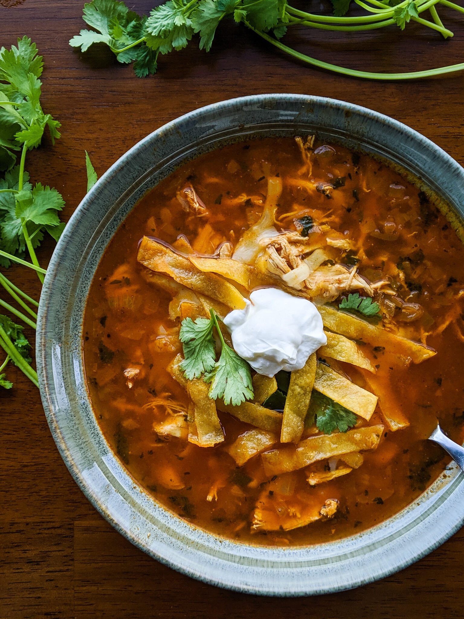 TortSoup.jpeg