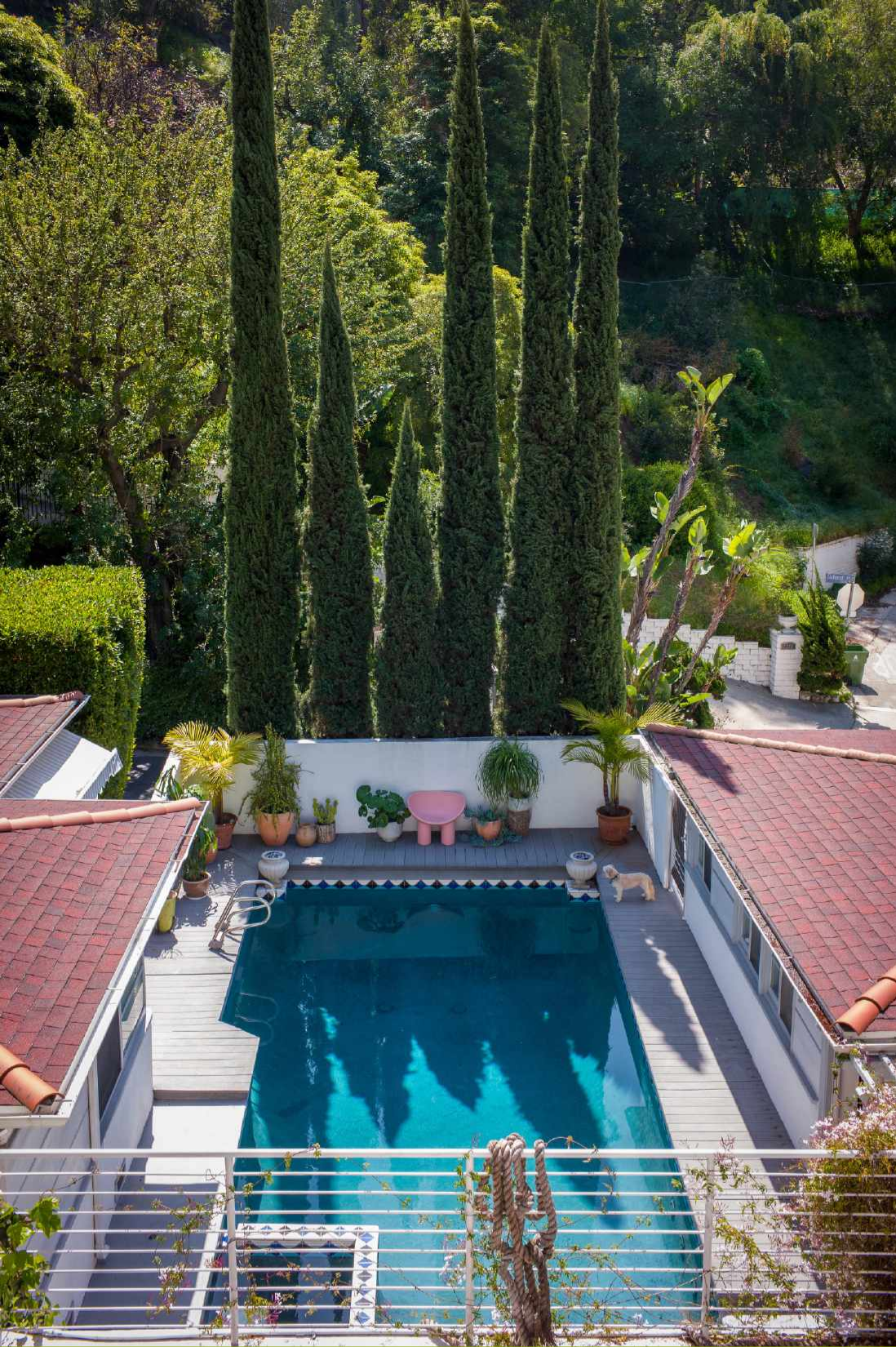 Untitled design-25.png