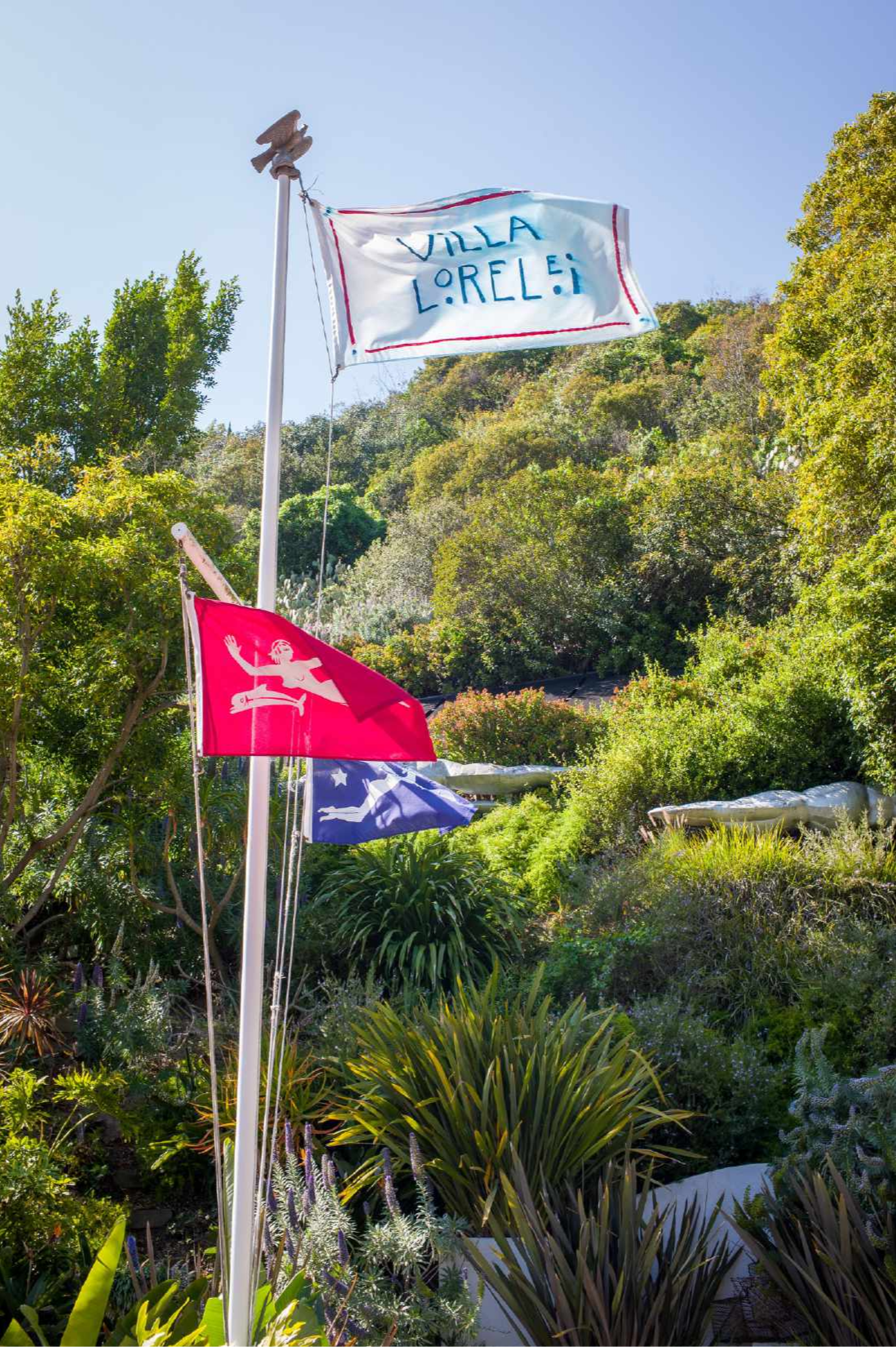 Untitled design-13.png