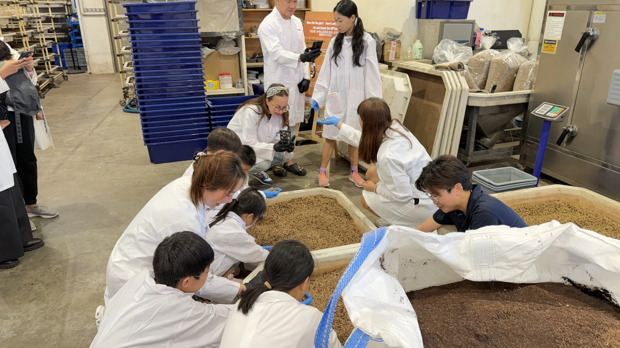 Group of people, including children and adults interacting with live black soldier fly larvae at Ento Industries' Site Tour