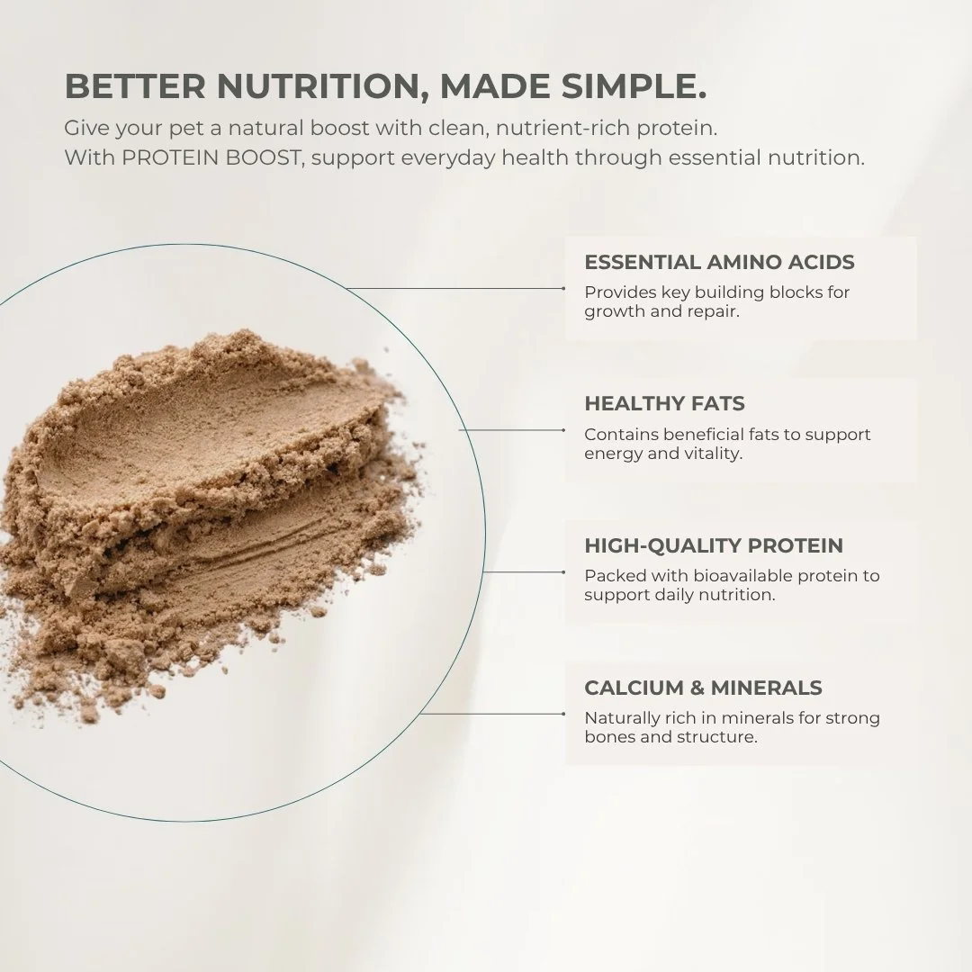 Protein Boost (4).jpg