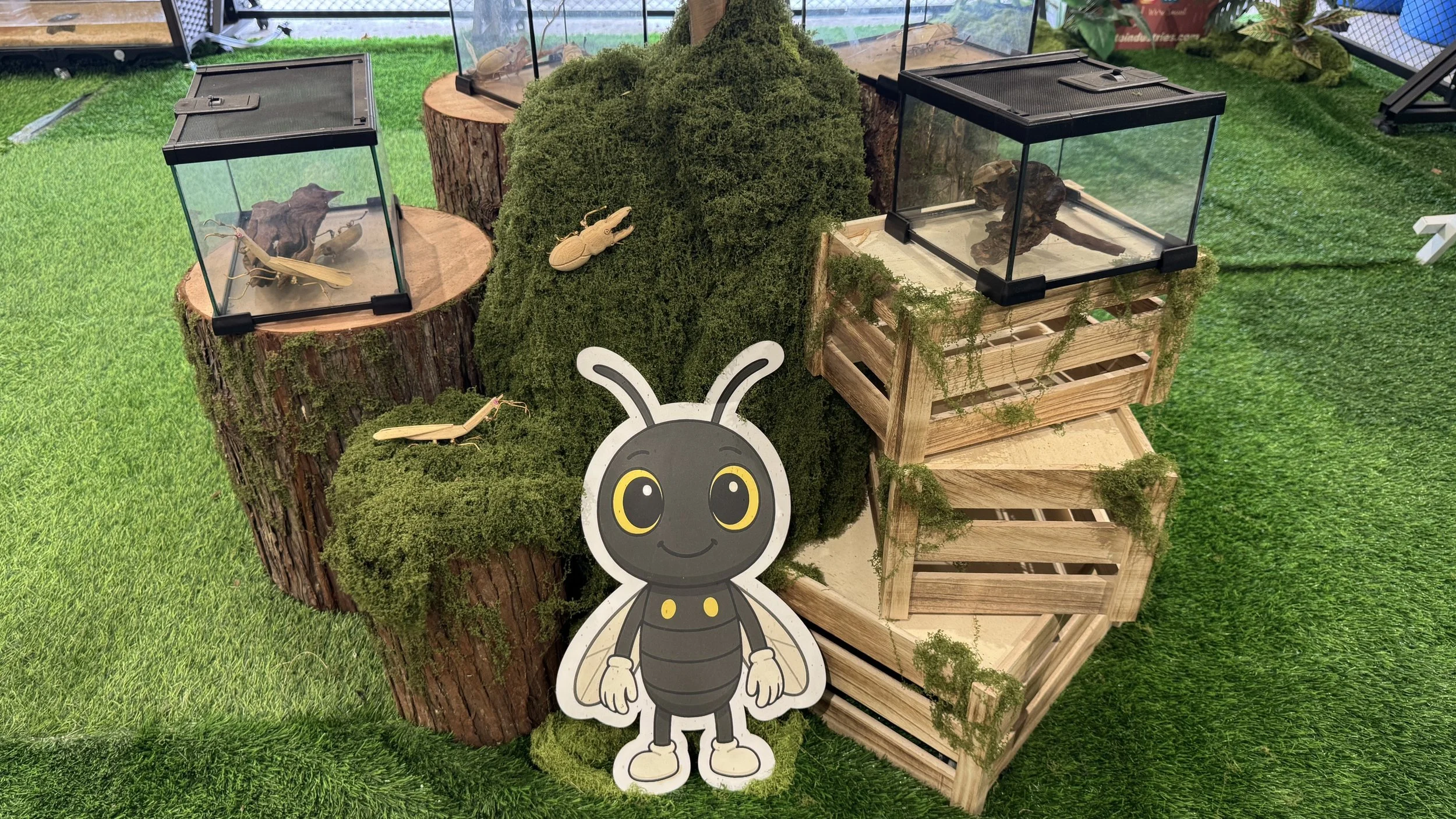 Display of various insects inside glass terrariums on wooden and mossy bases on artificial grass, with cartoon bee cutout in front.