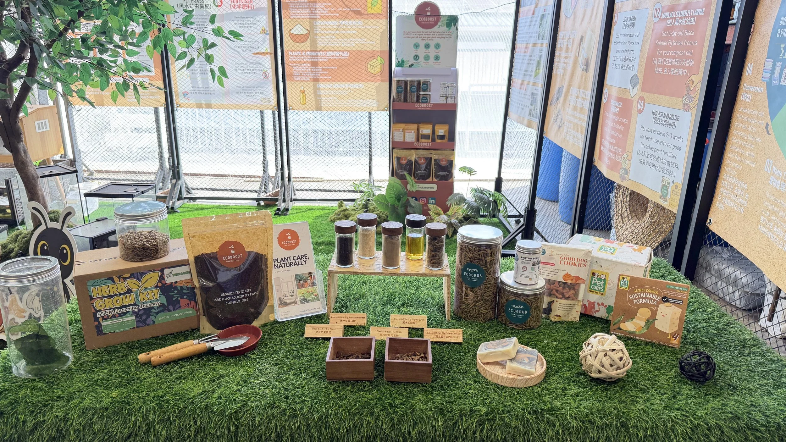 Display of Ento Industries' eco-friendly gardening and sustainability products, including soil, seeds, fertilizers, and educational posters on a bright green artificial grass table in a well-lit indoor space.