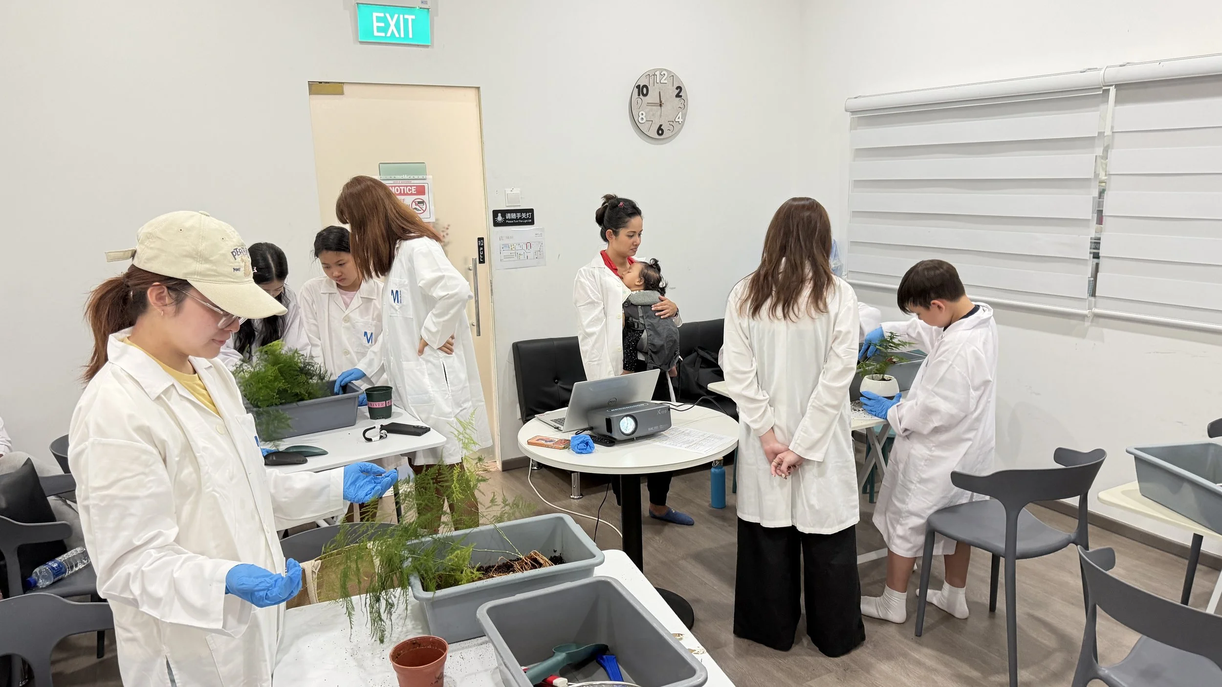Participants at Ento Industries' Site Tour, doing an asparagus fern repotting workshop