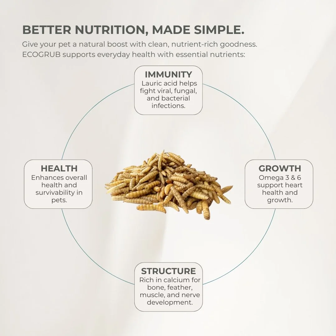 100g_200g Ecogrub (3).jpg