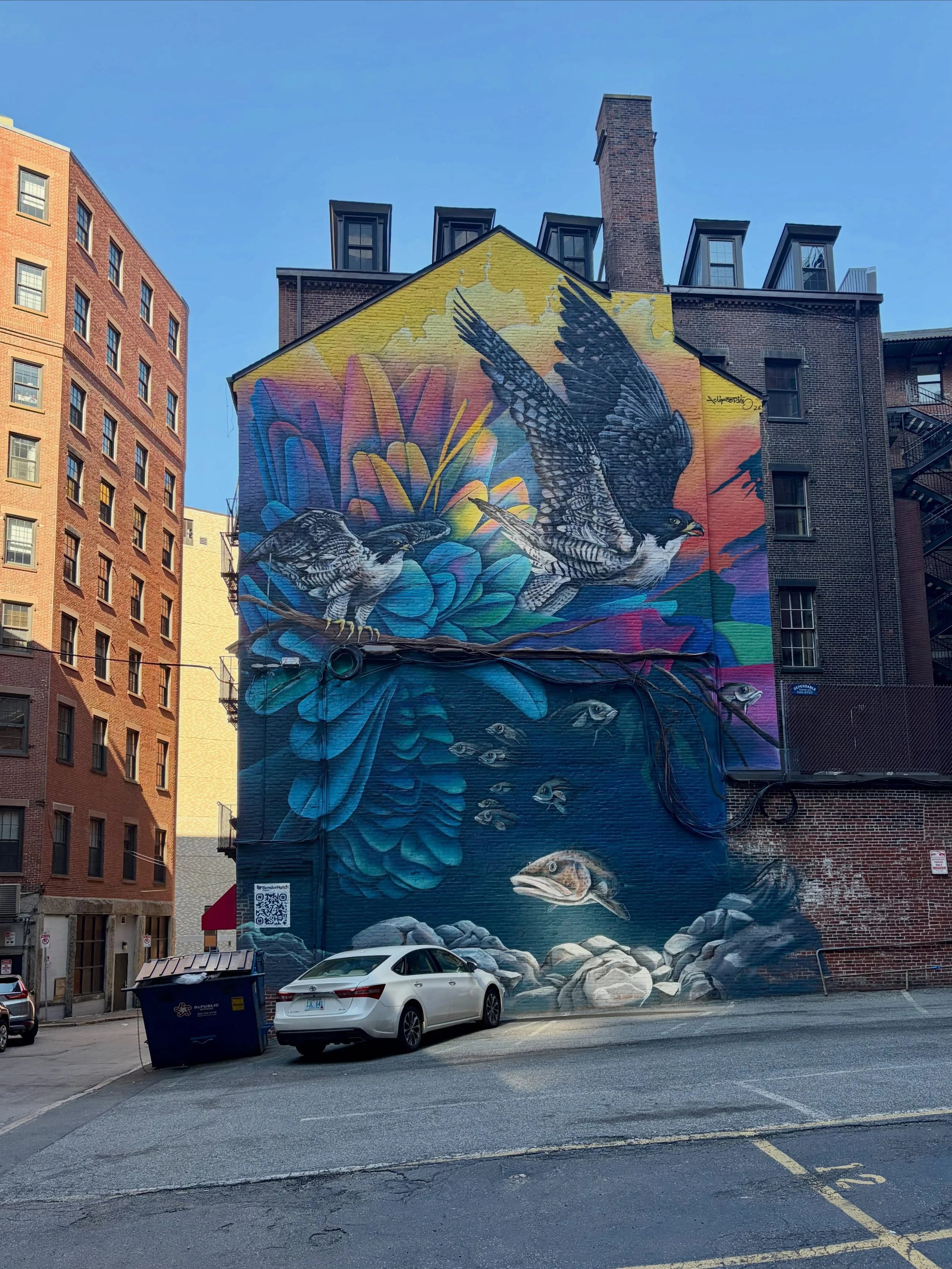 &ldquo;The Ectasy of Paint&rdquo; by Felipe Ortiz features a pair of beautiful Peregrine Falcons and Atlantic Cod.  Its dynamic composition and vibrant colours really light up the neighborhood.  @felipeortizart 

This one is easy to find too! Right o
