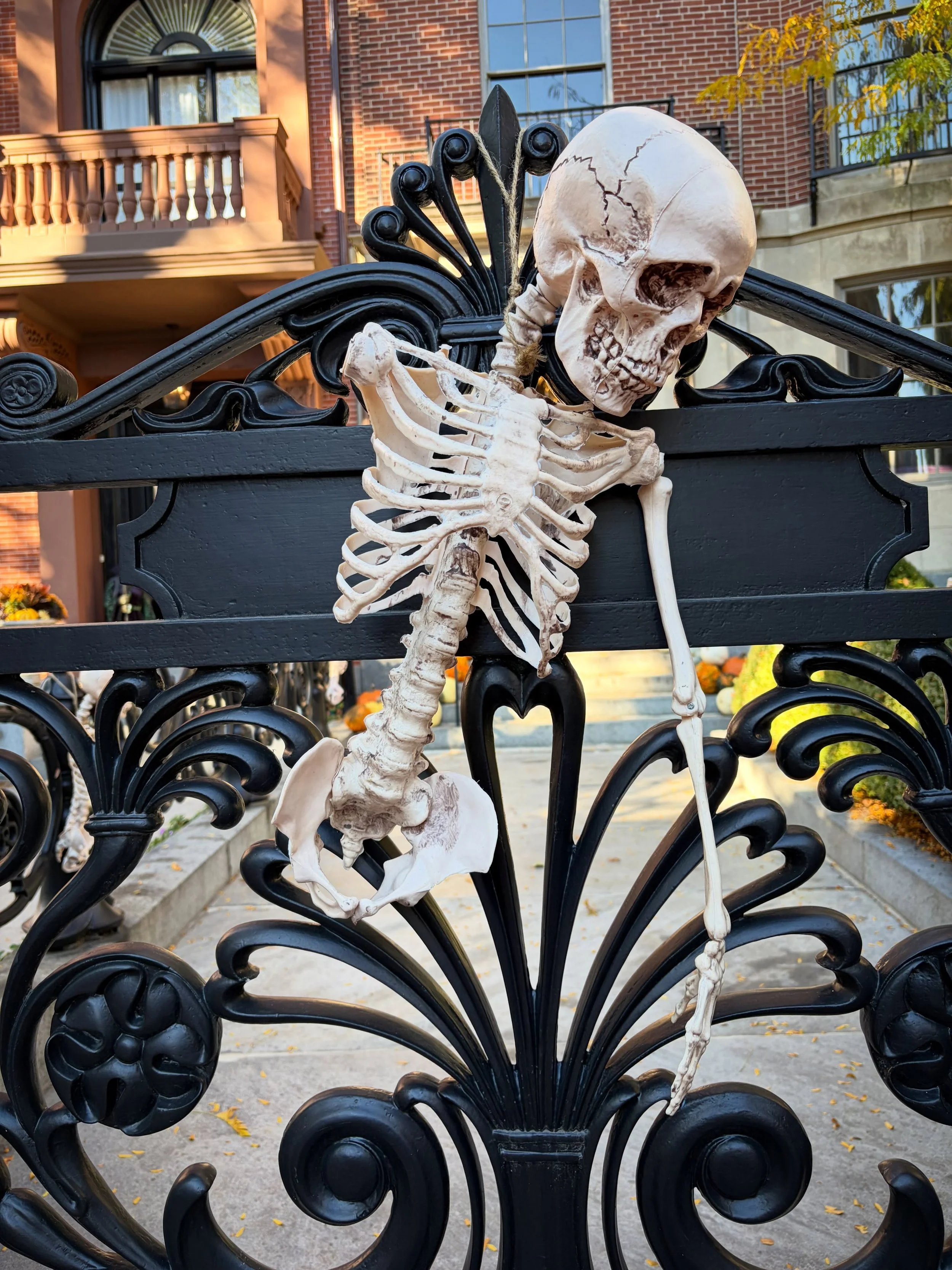 Excited to be rejoining @thecultureshowgbh today at 2pm (listen in on 89.7fm, or you can stream on YouTube) as we talk about Halloween-inspired creativity and some of the different decorations around town! 

This graceful skeleton is draped over a ga