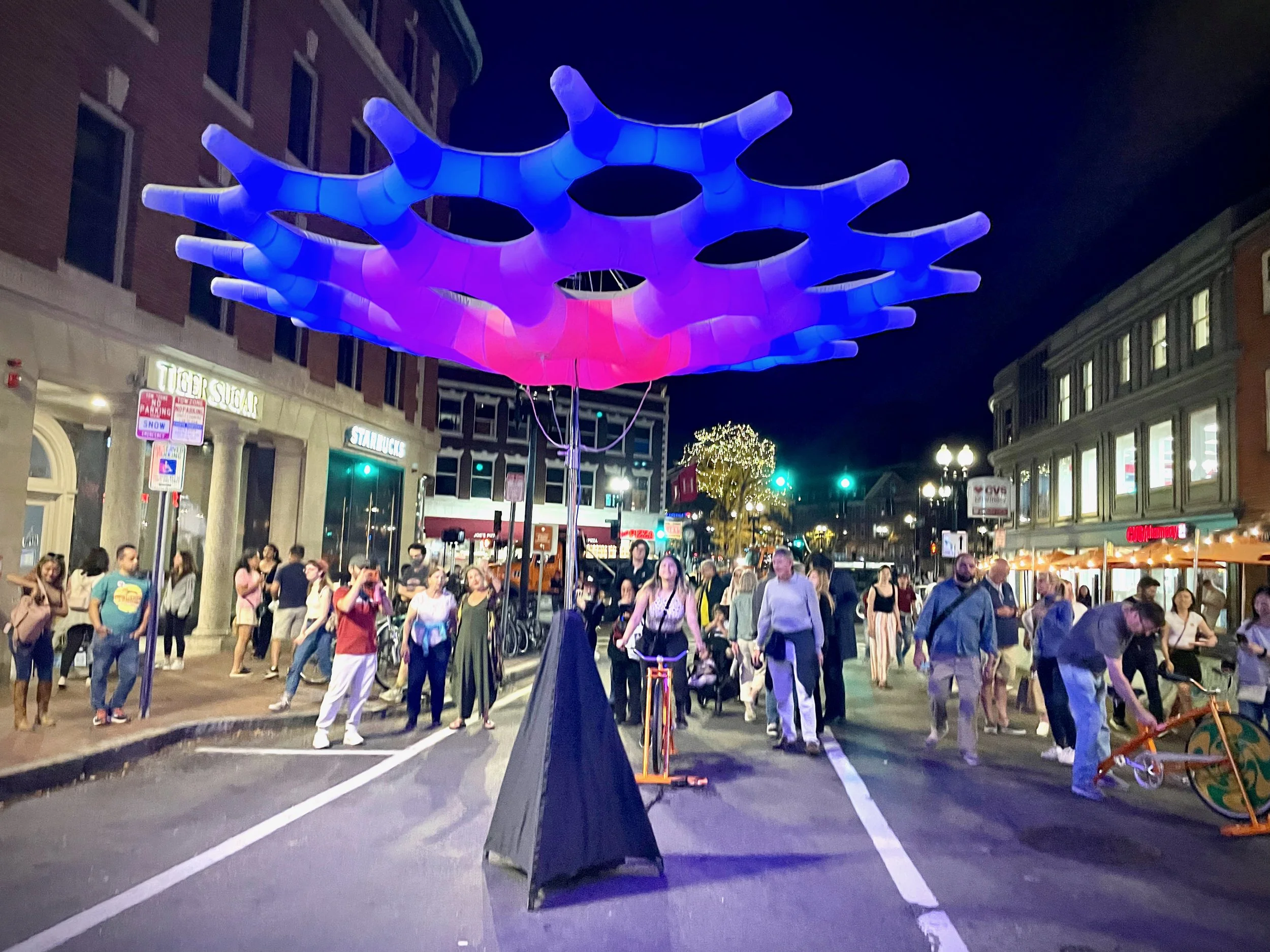 Harvard Square Illuminates