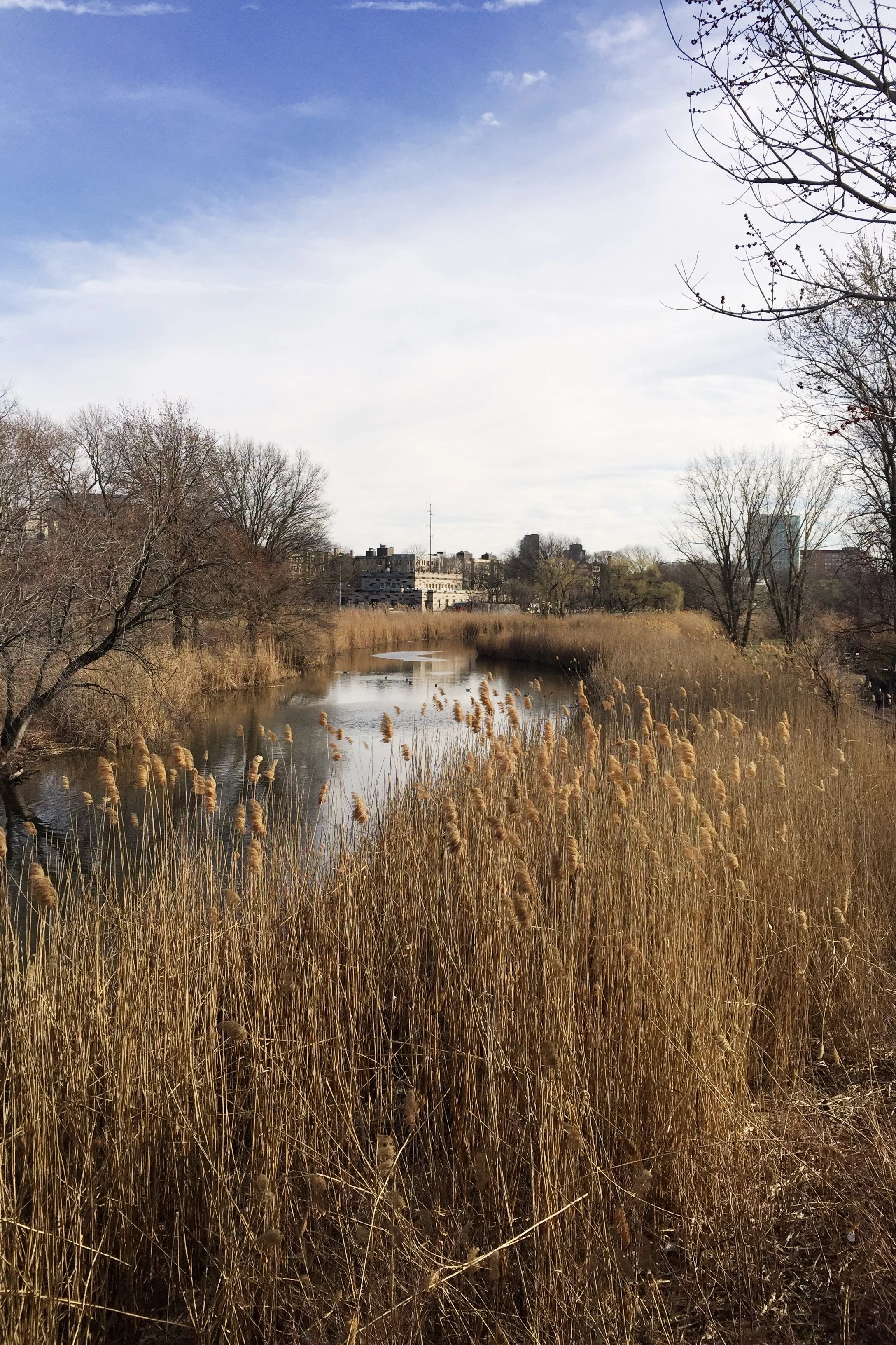 Back Bay Fens, Boston, MA
