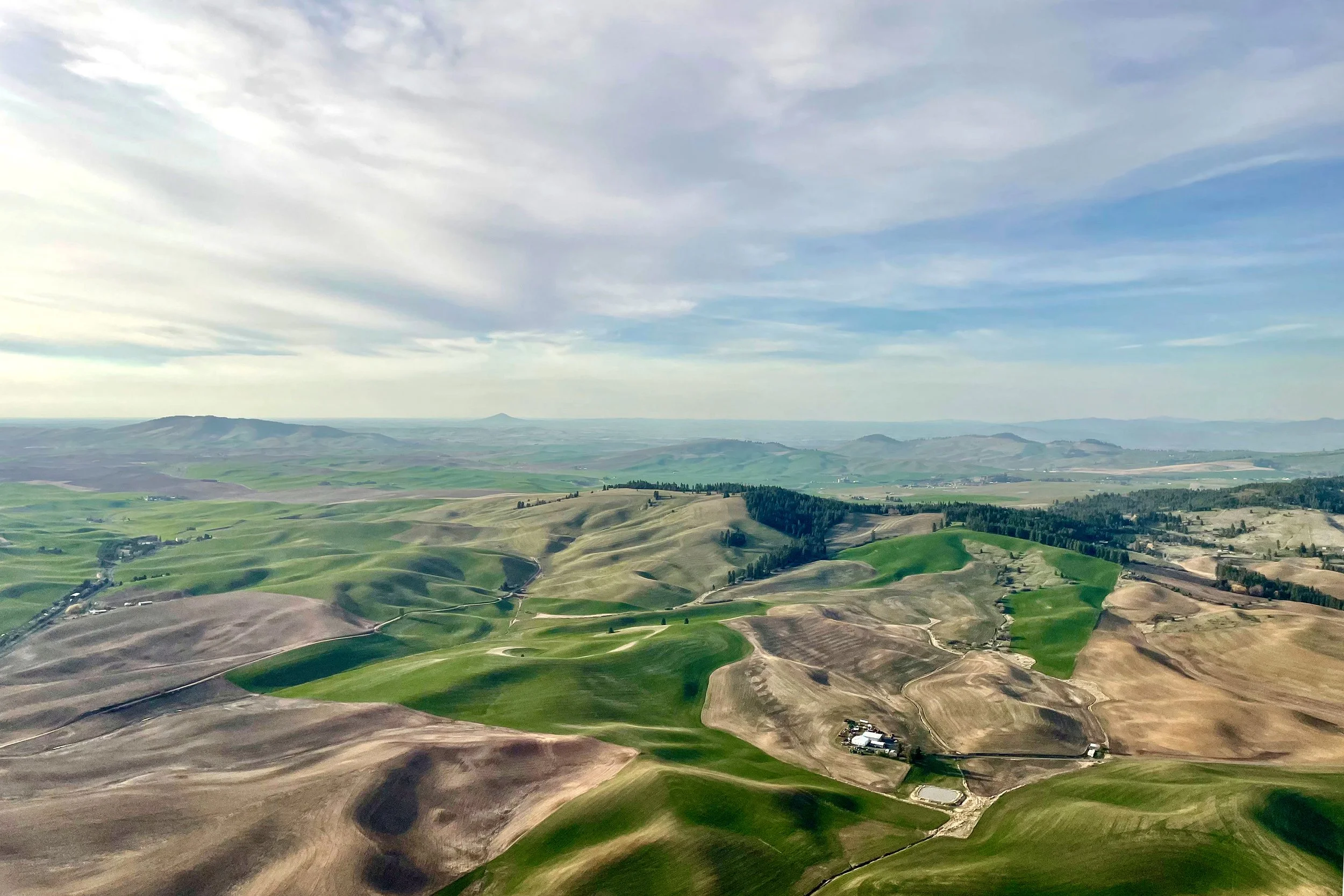 Idaho. 
