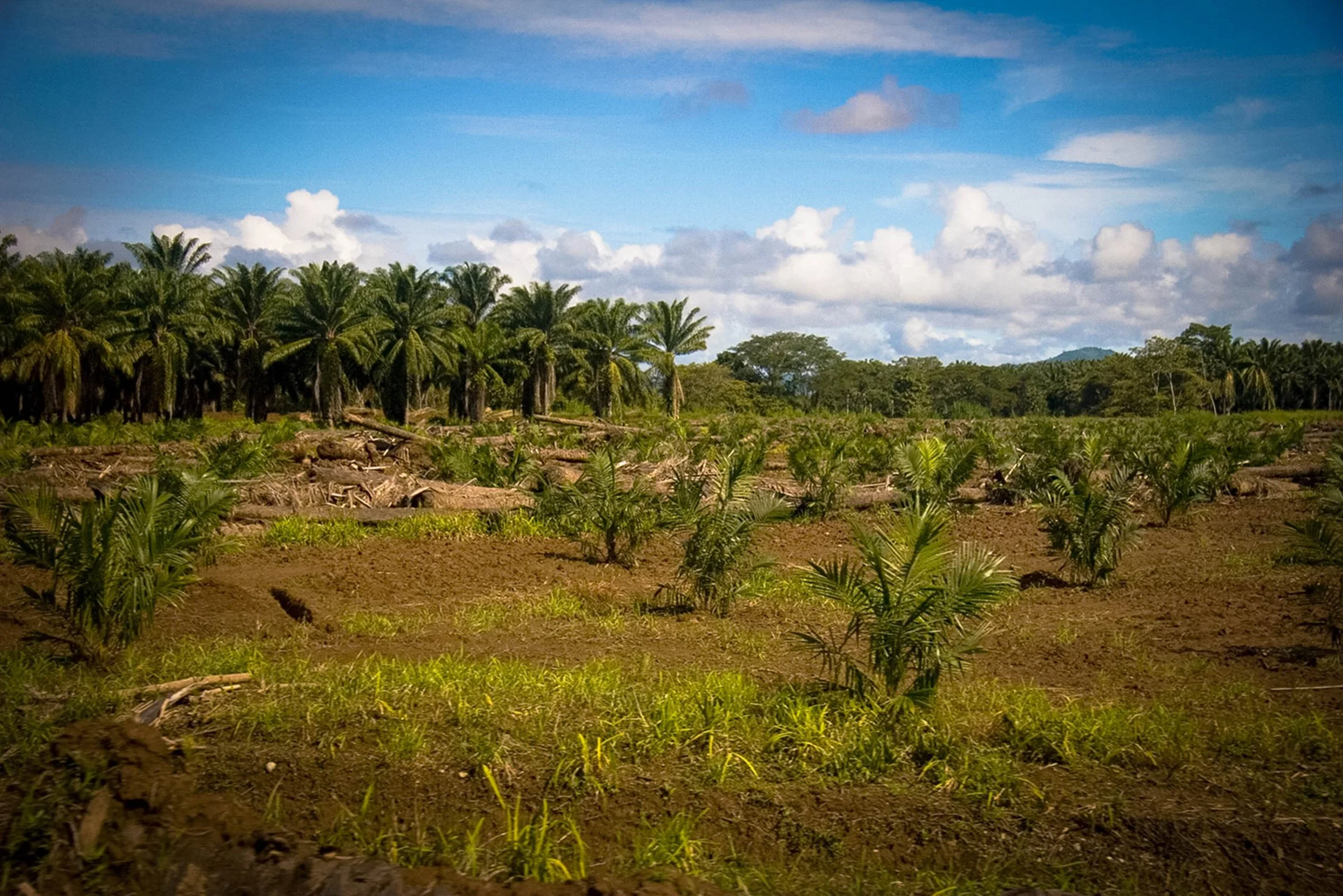 Landscape, Costa Rica