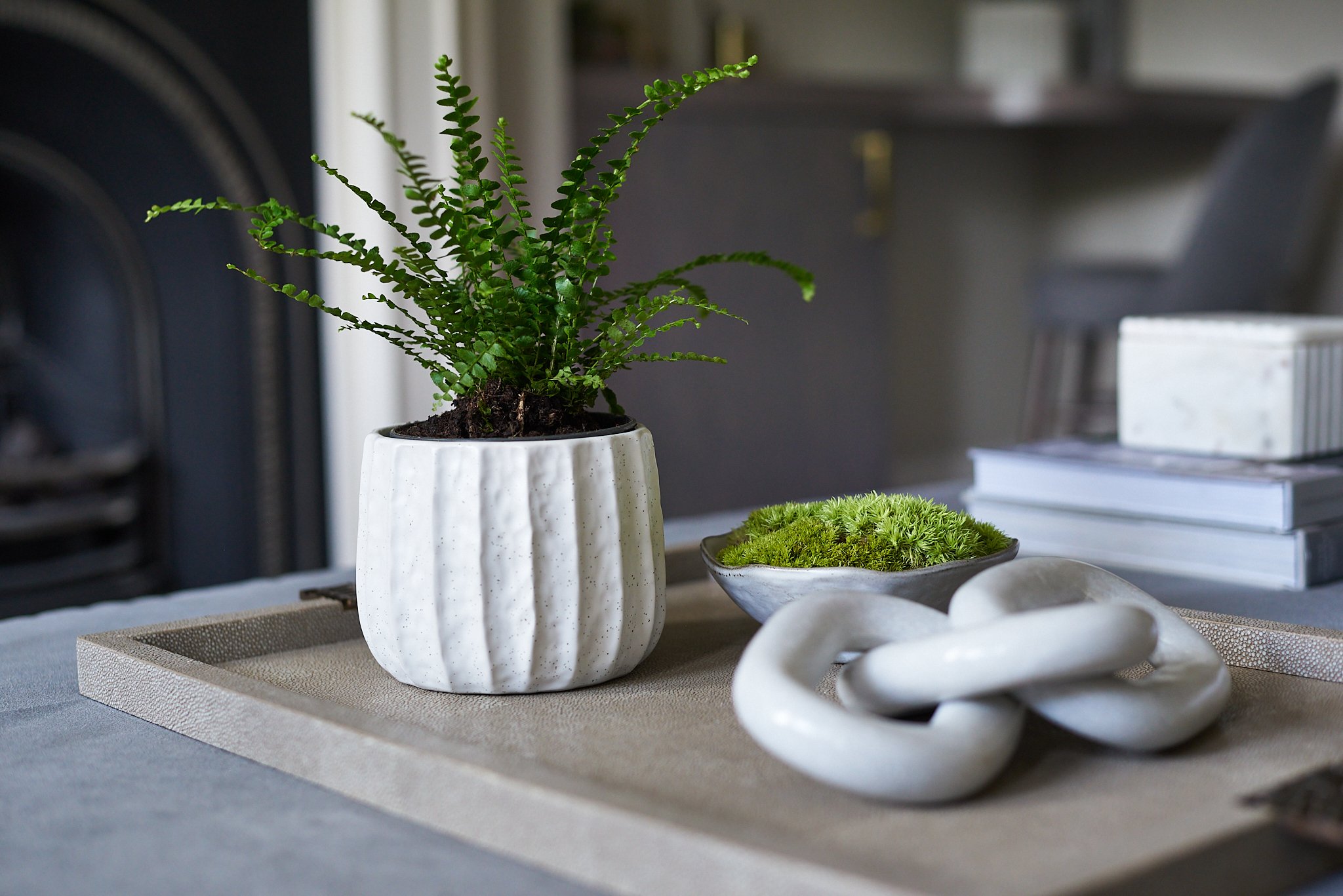 dsi-june-shoot-d 3 copy.jpg