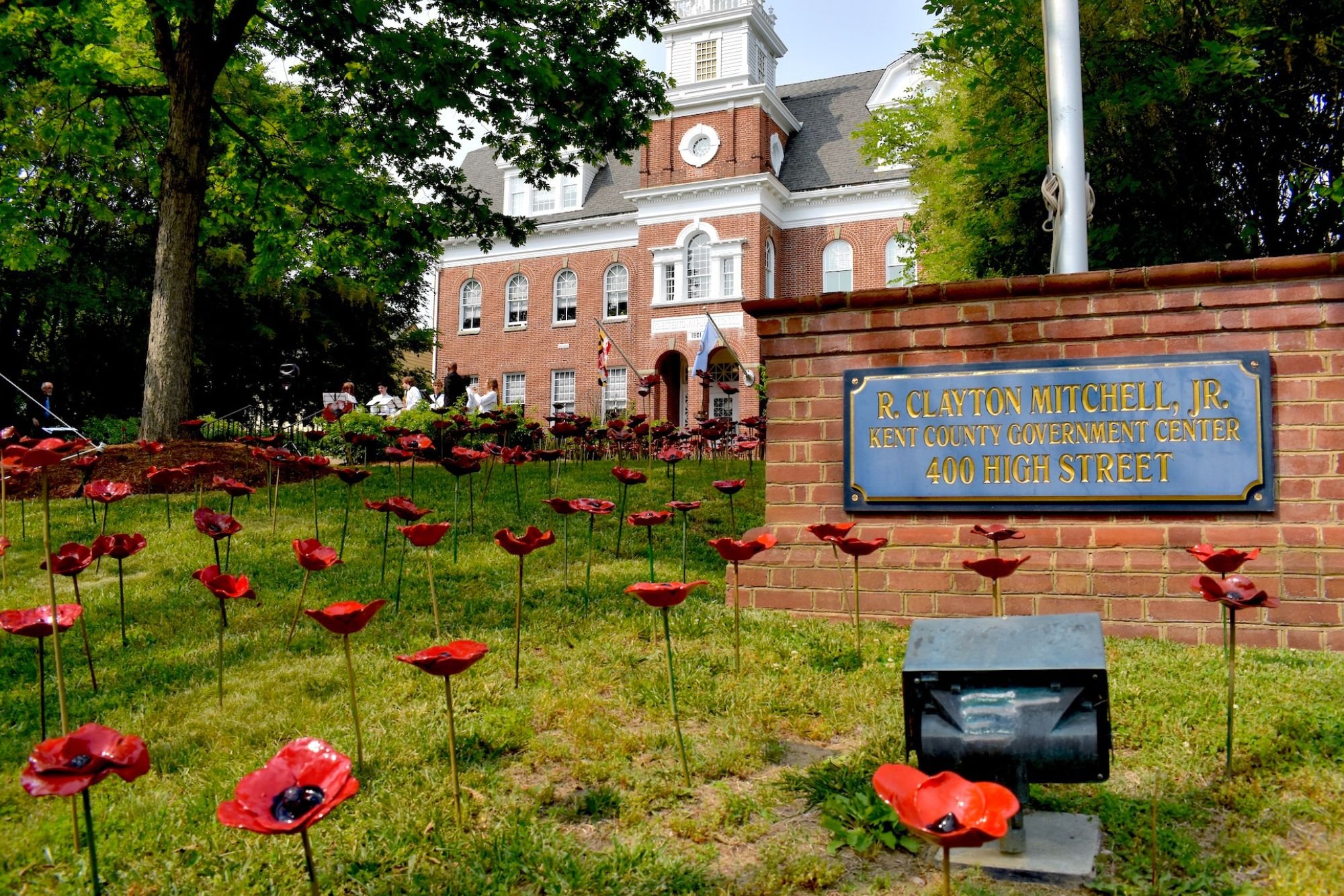 Art Students Lead Poppies for Peace Project