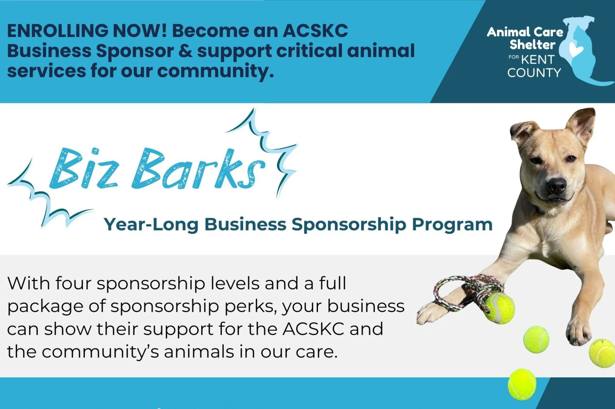 Animal Care Shelter for Kent County Launches Biz Barks, a Year-Long Business Sponsorship Program