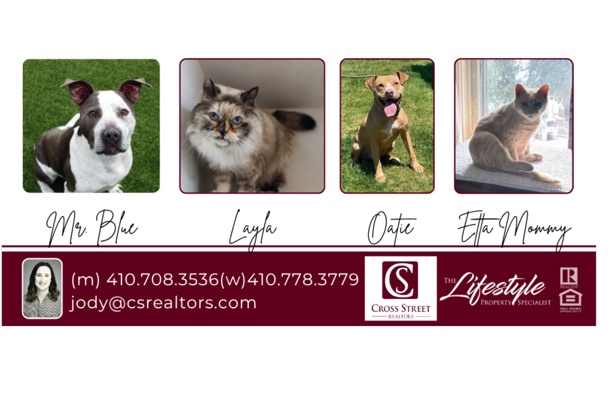 Jody Baker, with Cross Street Realtors, sponsors adoption fees for four Senior Rescues